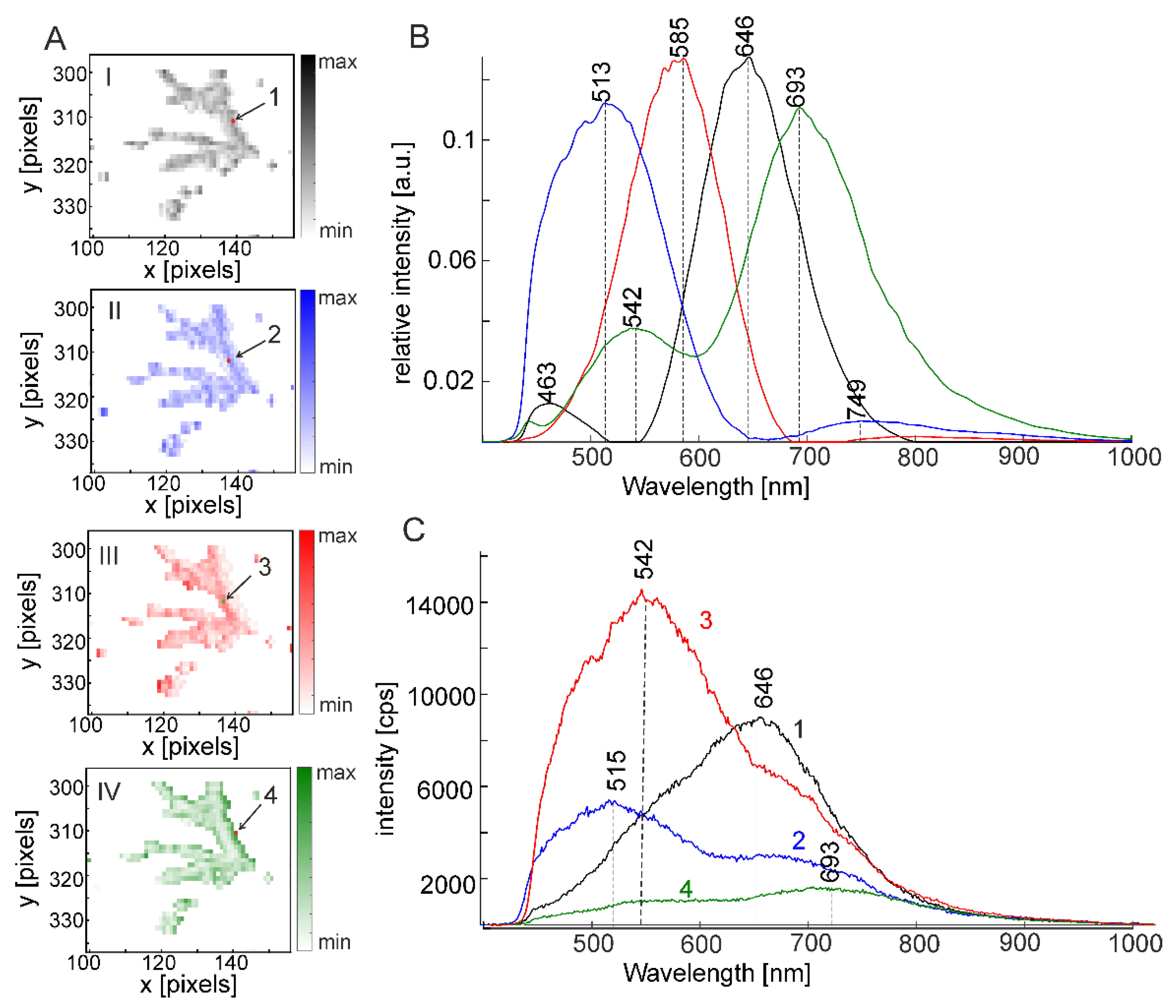 Molecules 27 05146 g003