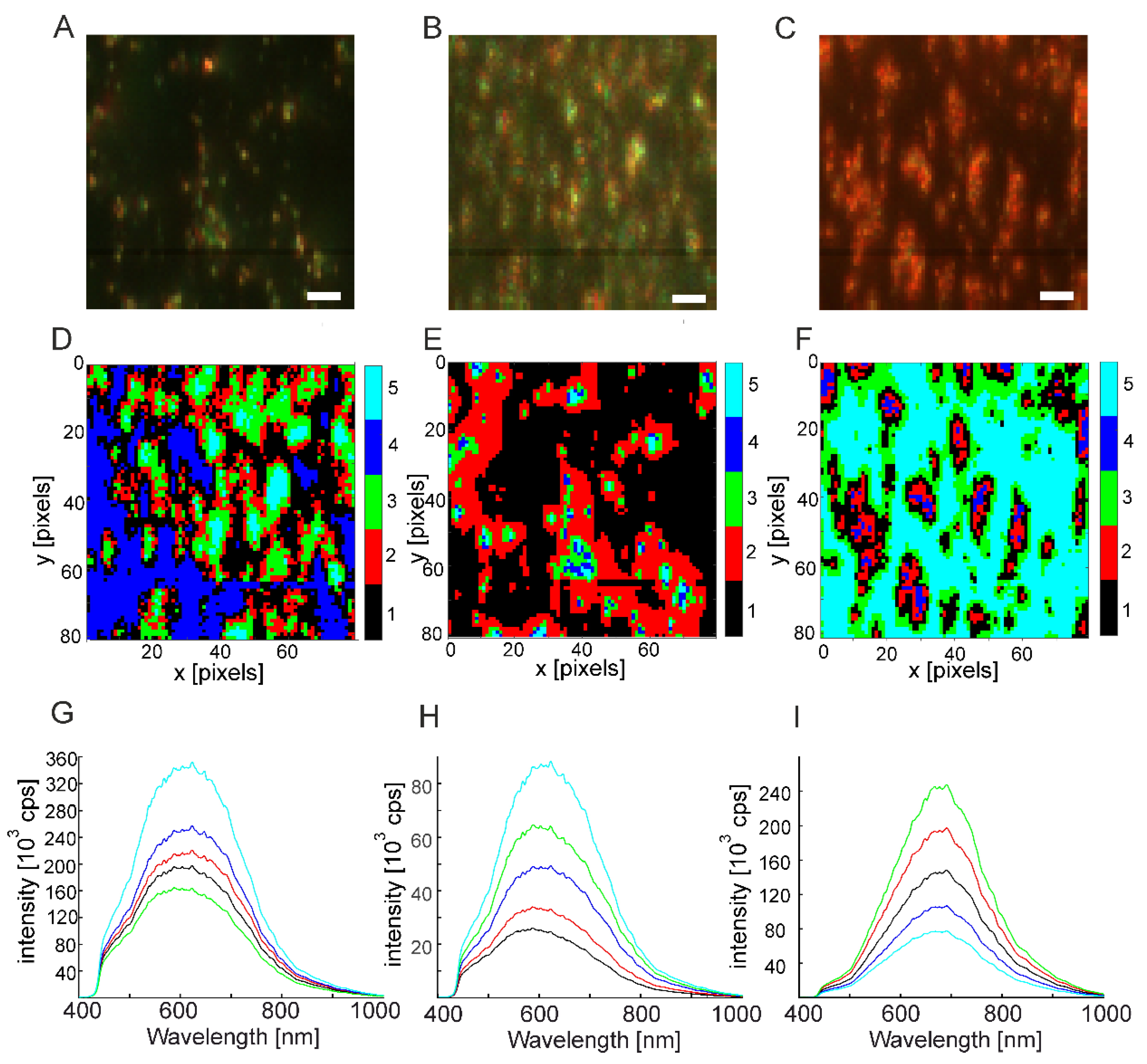 Molecules 27 05146 g004