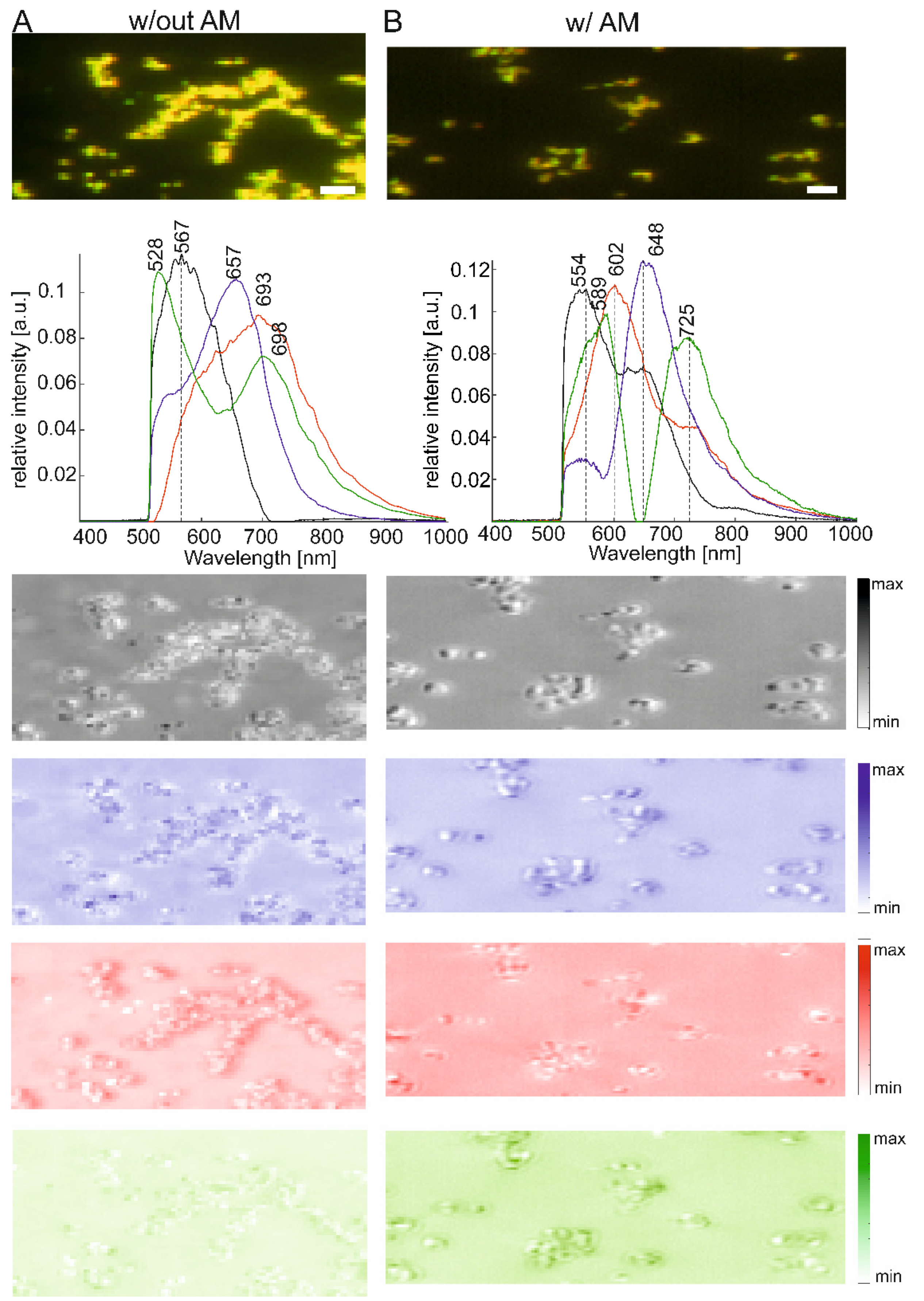 Molecules 27 05146 g006