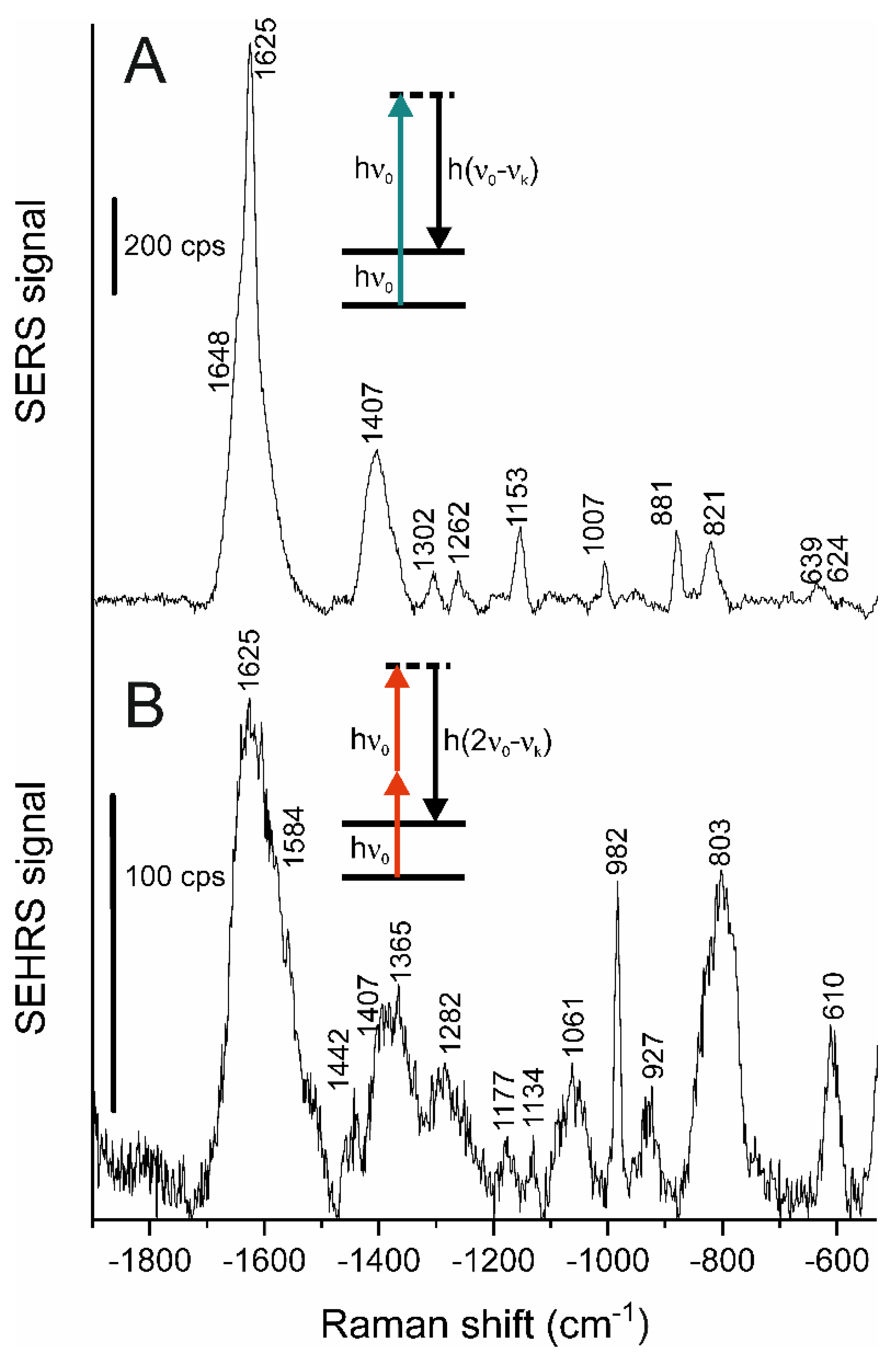 Molecules 27 05146 g007