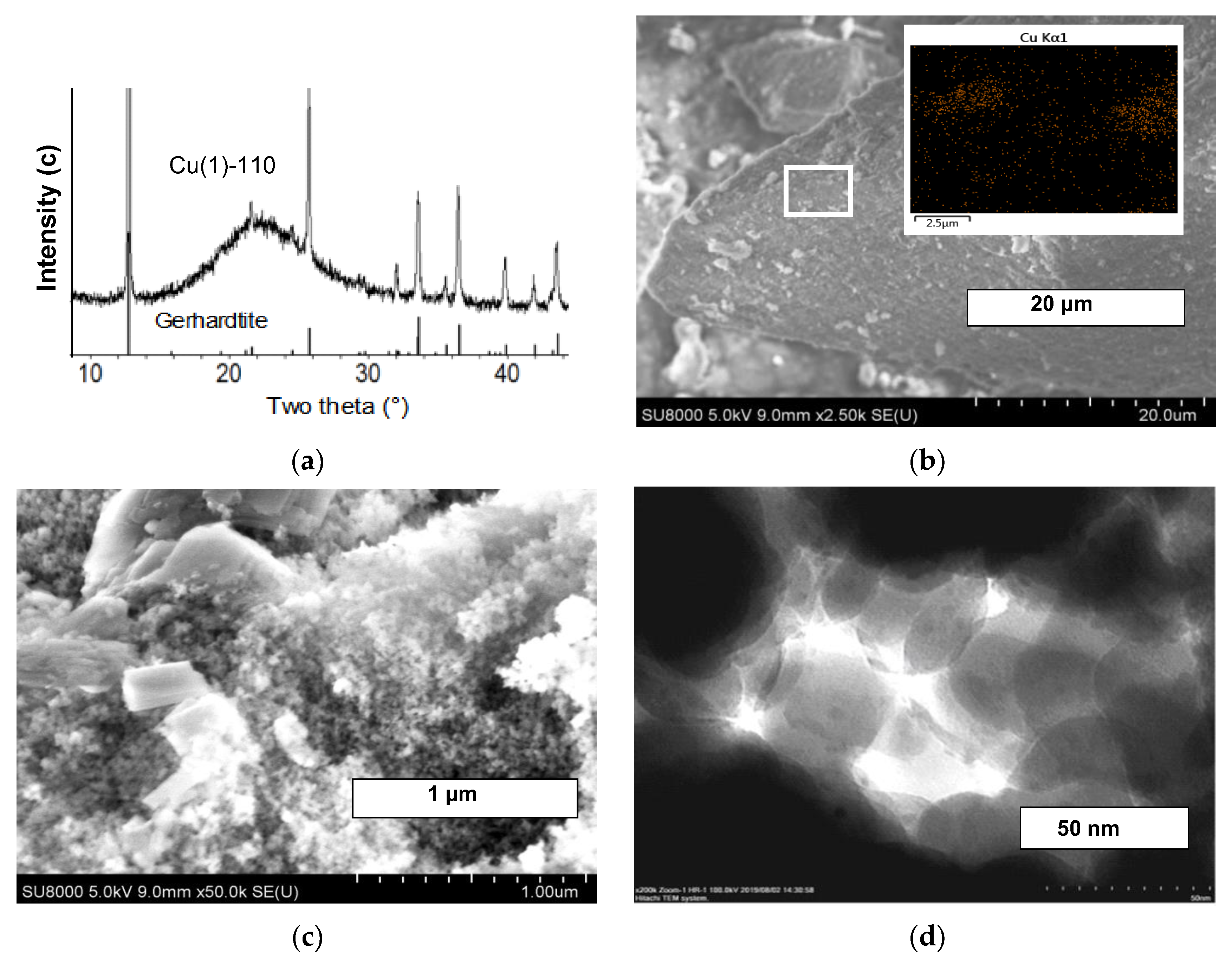 Molecules 27 05147 g002