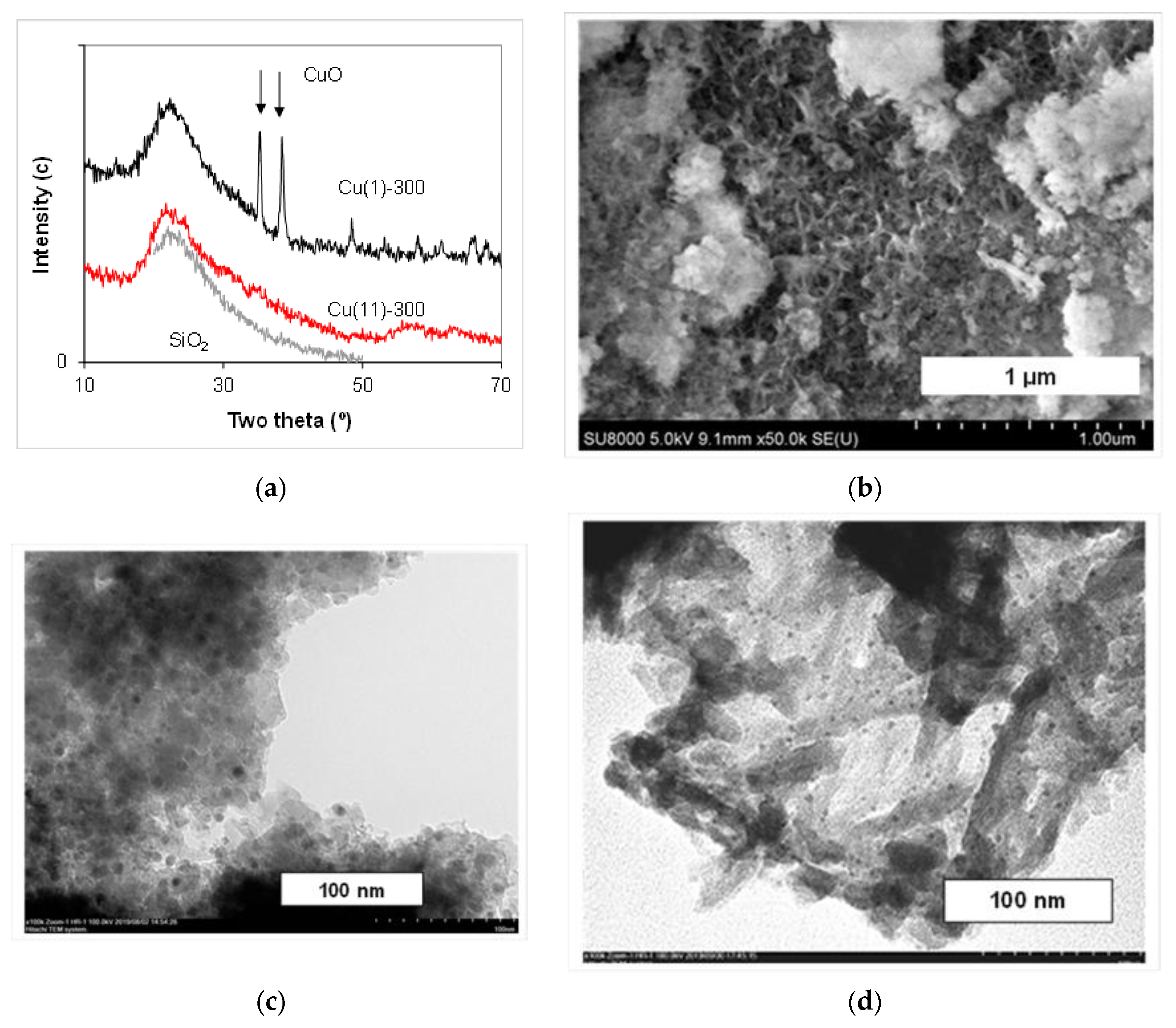 Molecules 27 05147 g004