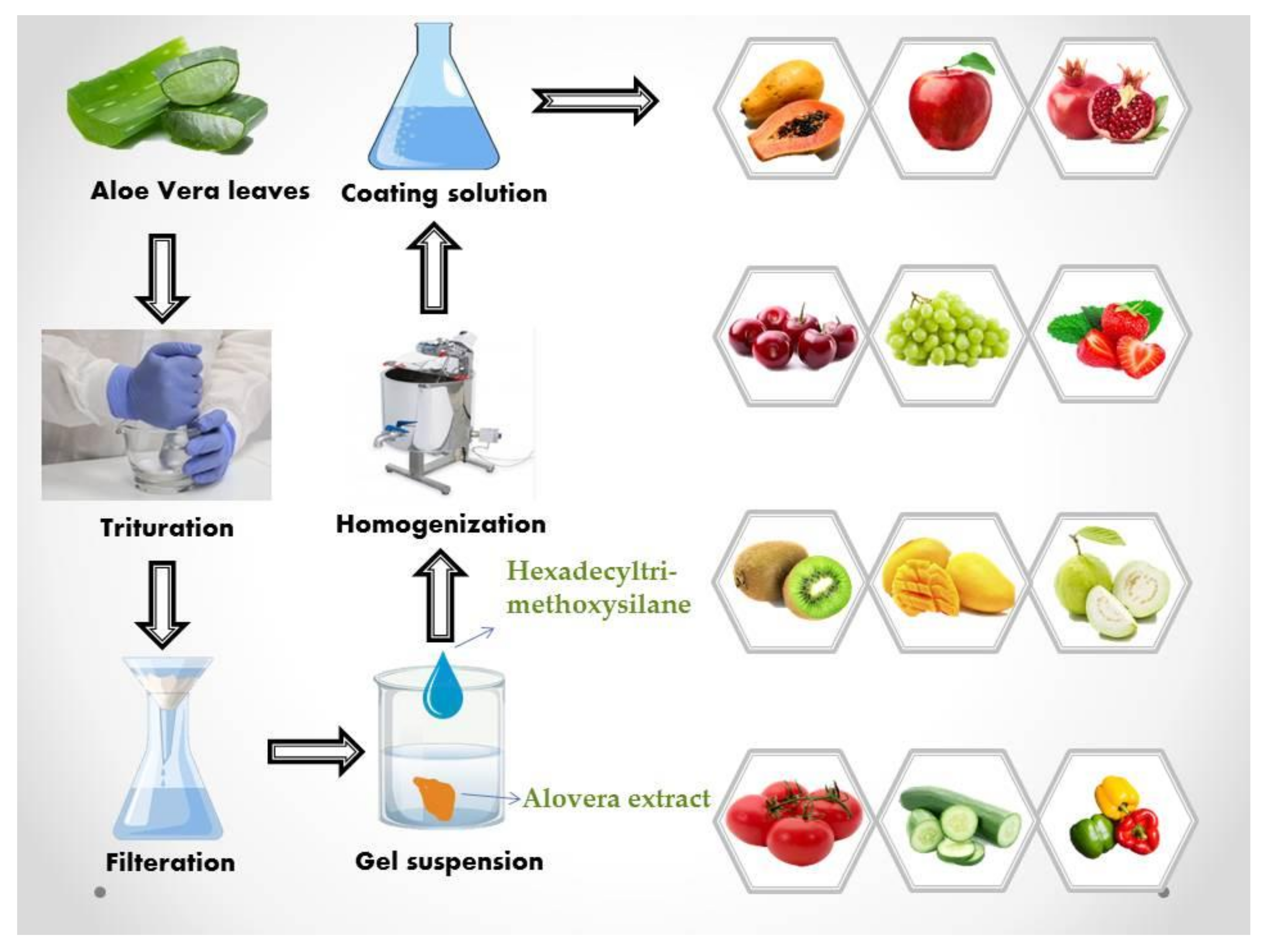 Molecules 27 05152 g001