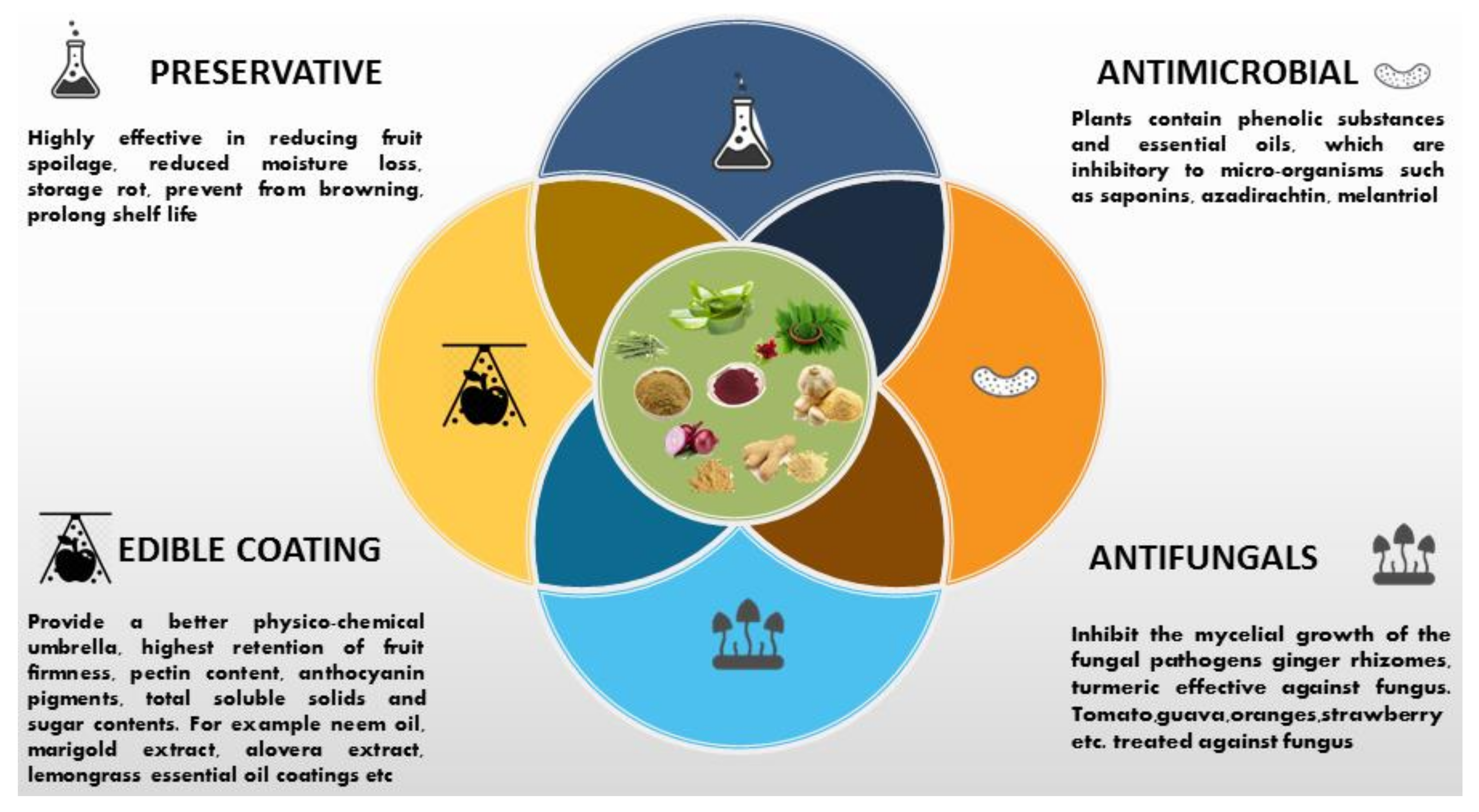 Molecules 27 05152 g002