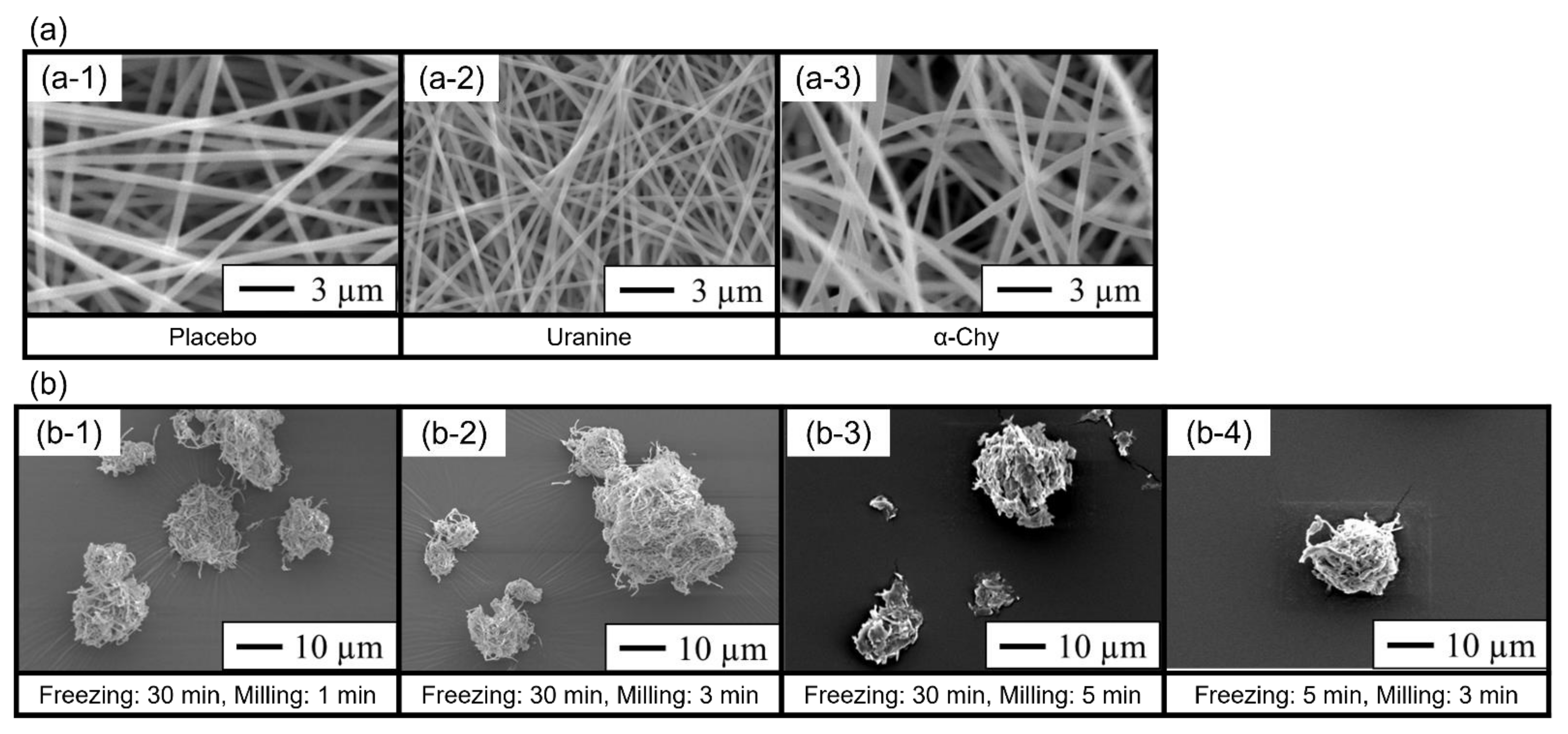 Molecules 27 05158 g001