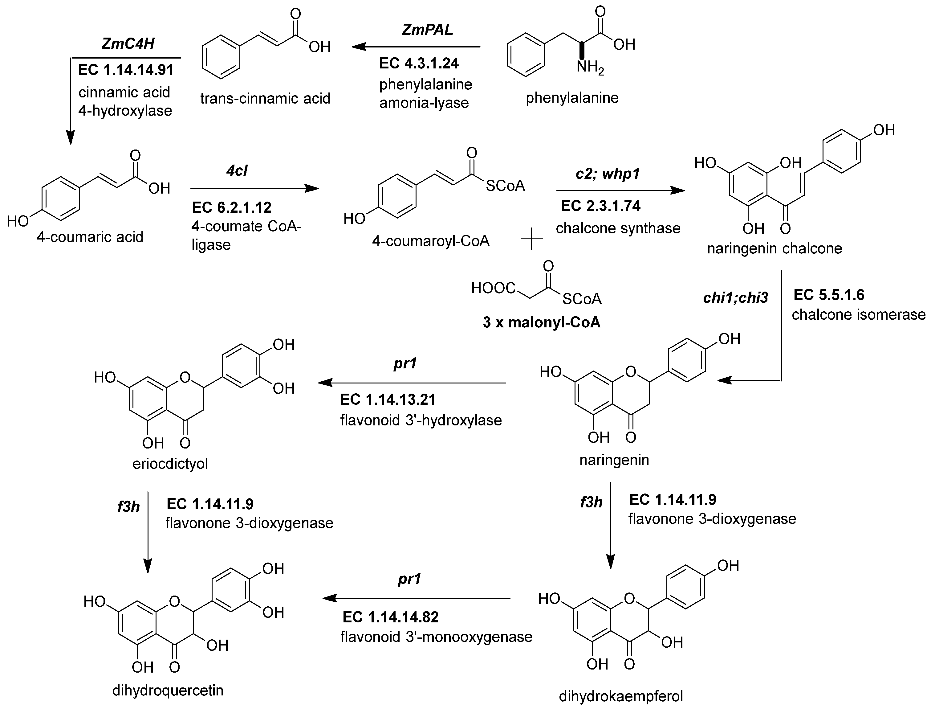 Molecules 27 05166 g002