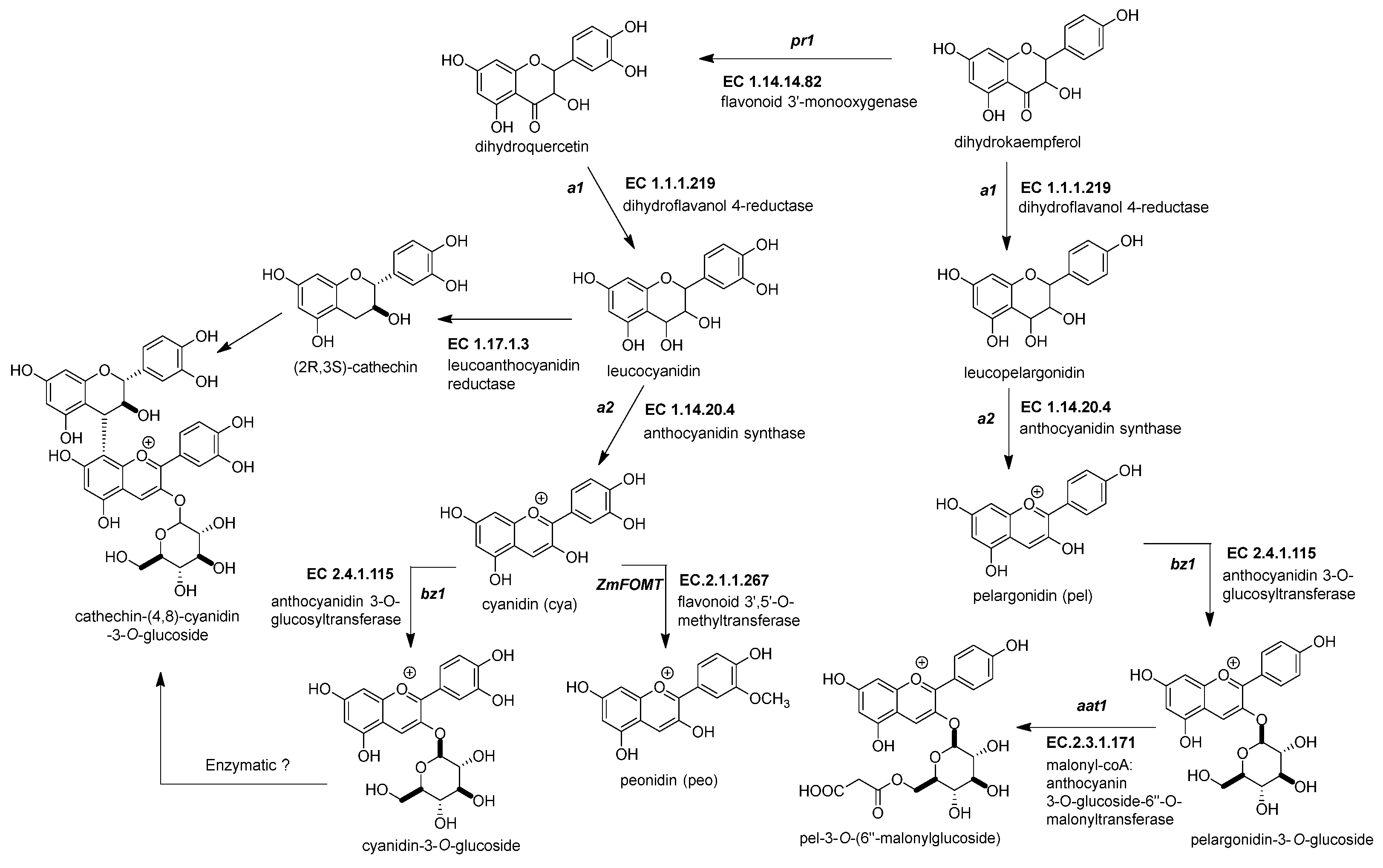 Molecules 27 05166 g003