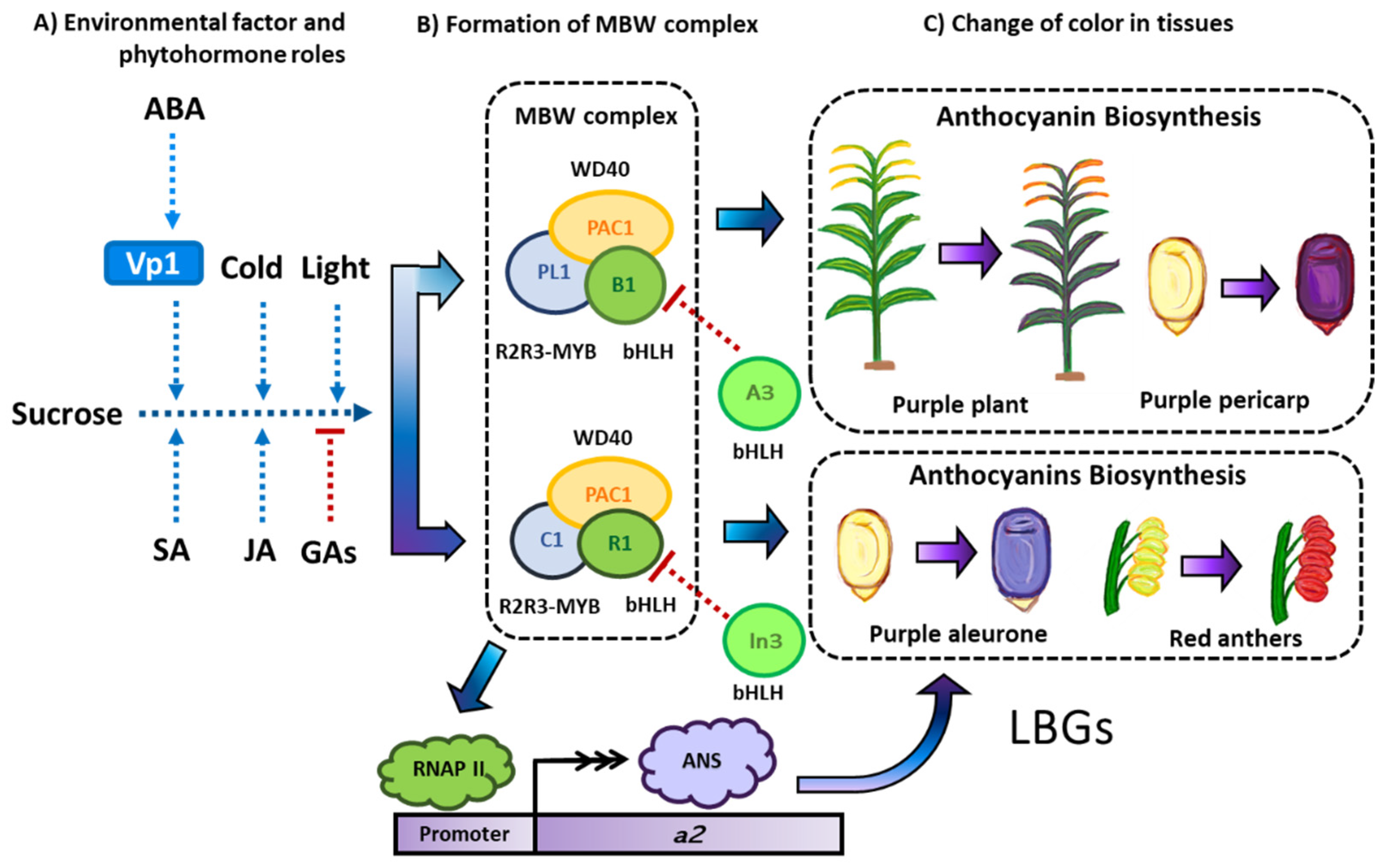 Molecules 27 05166 g006
