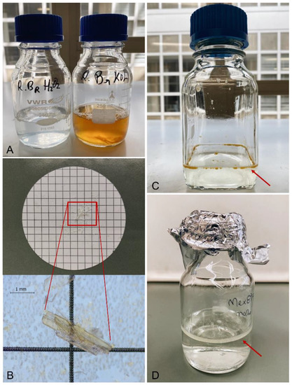 Molecules 27 05172 g004 550