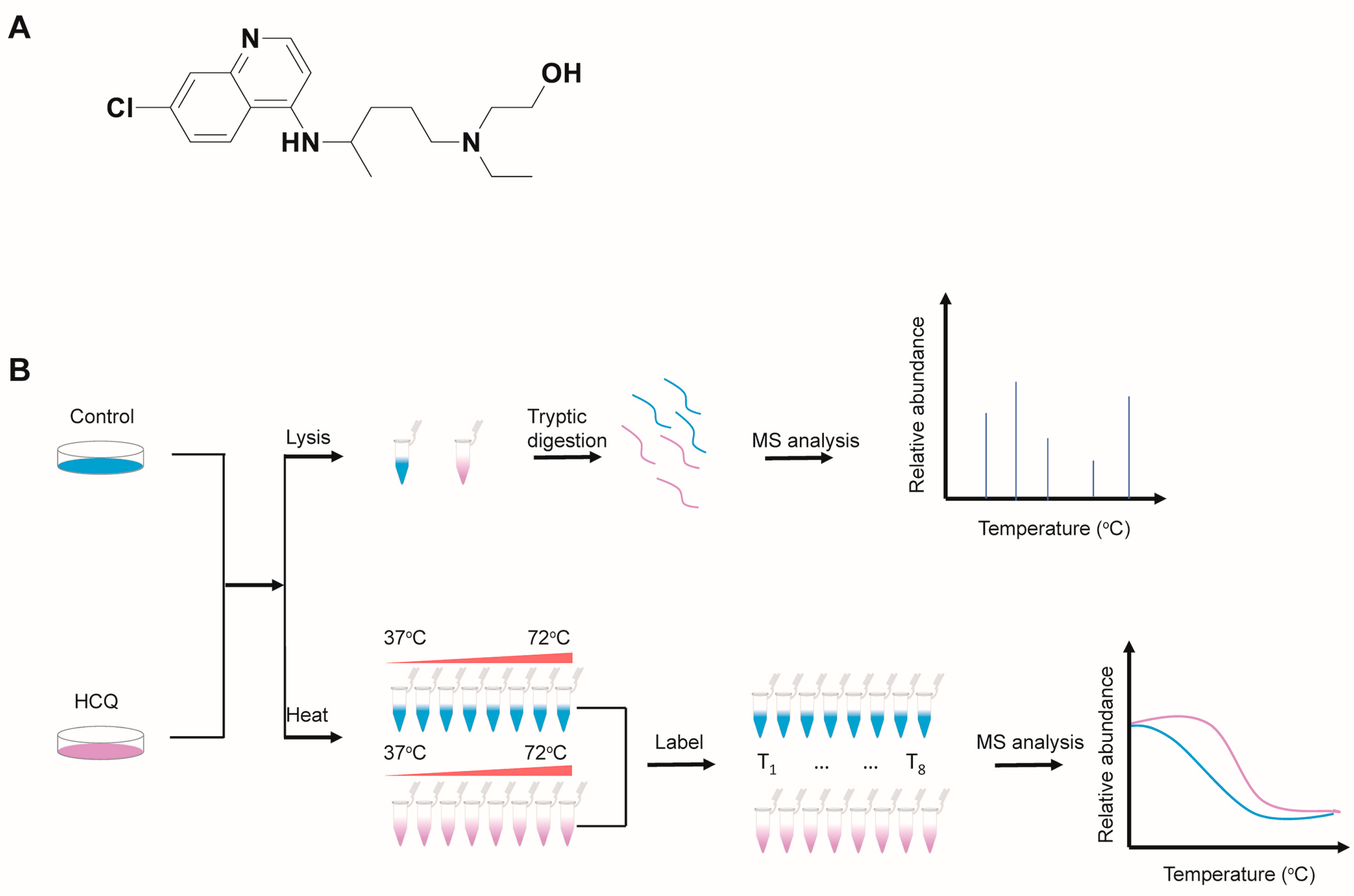 Molecules 27 05175 g001