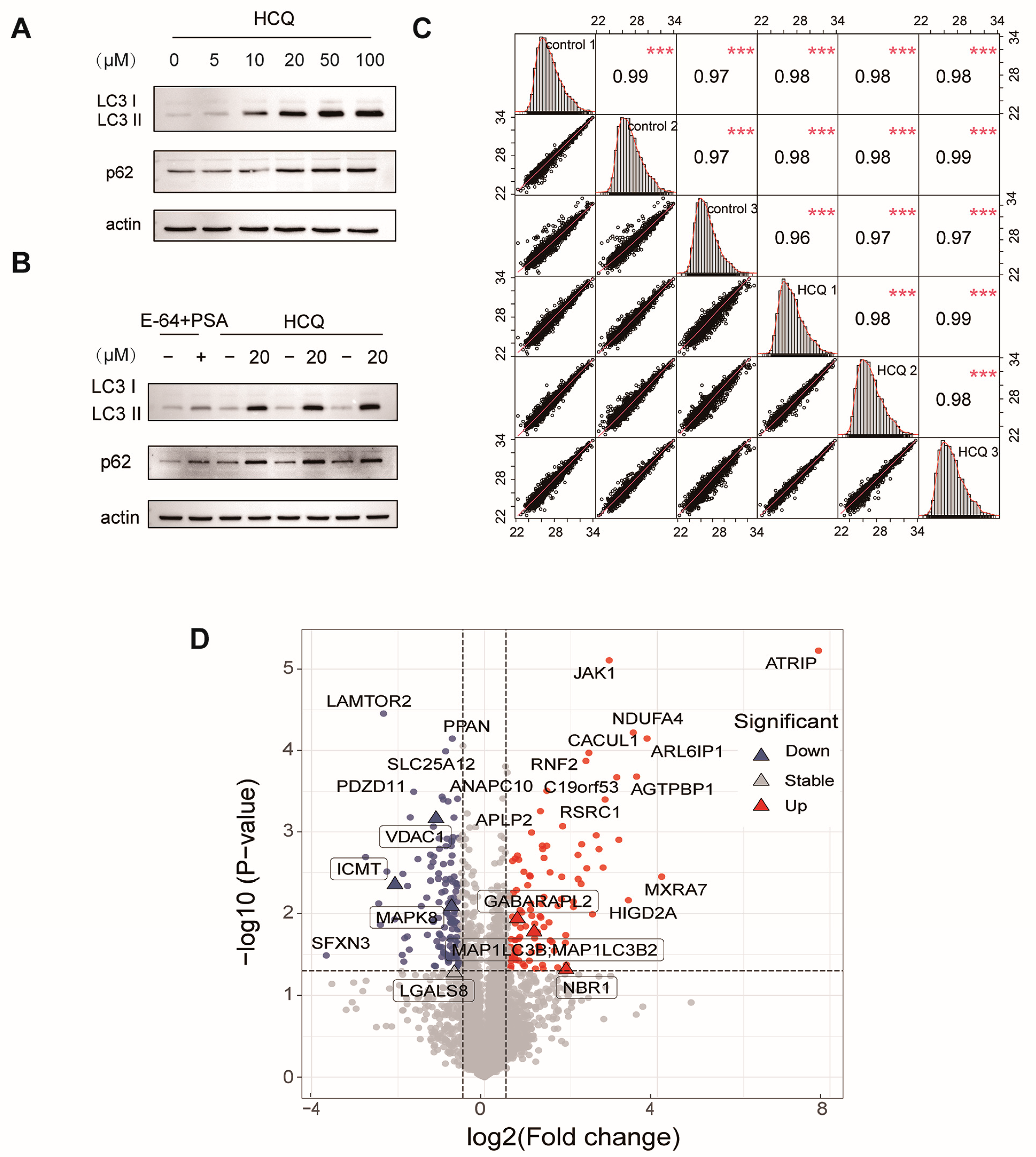 Molecules 27 05175 g002