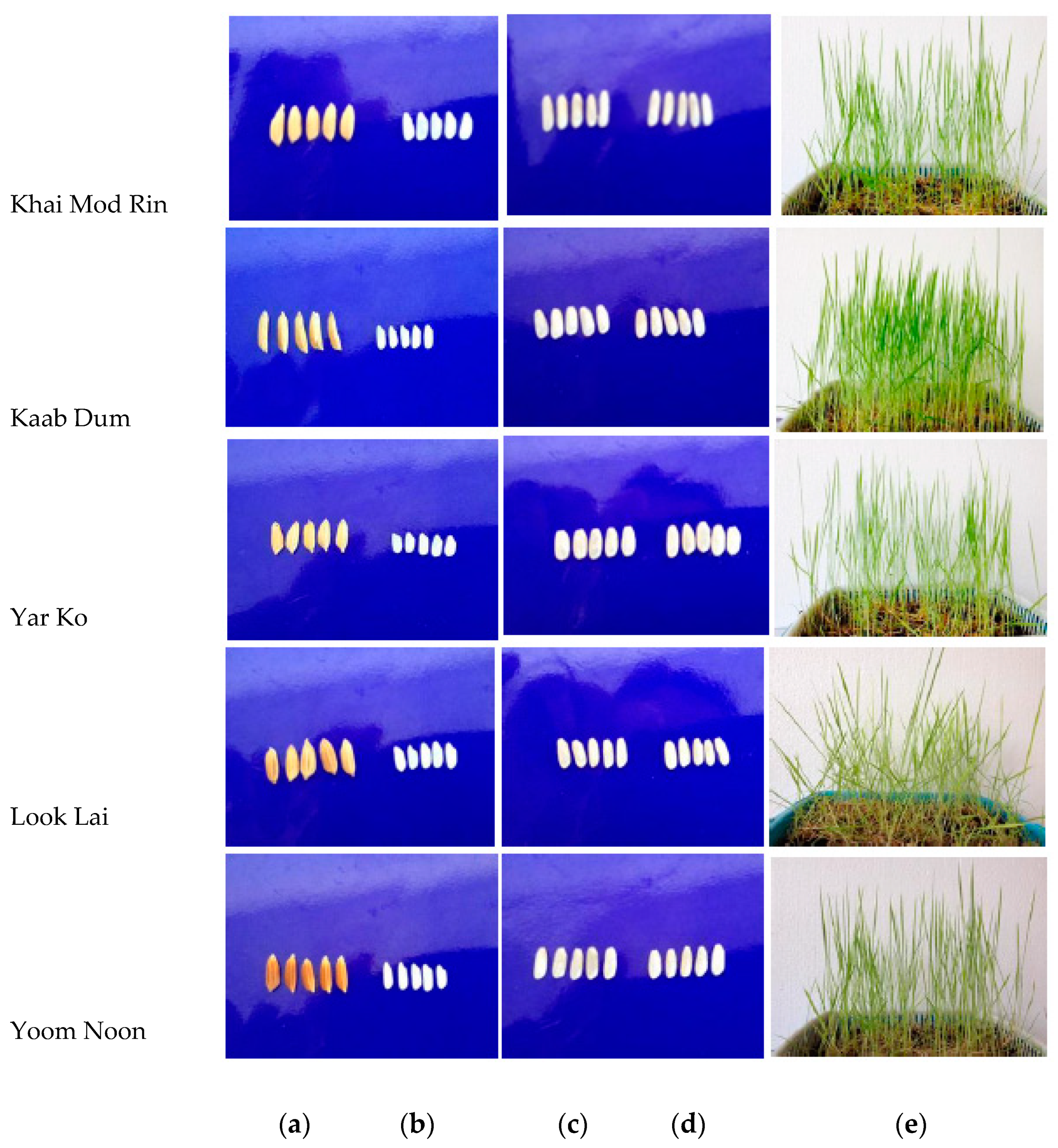 Molecules 27 05180 g001
