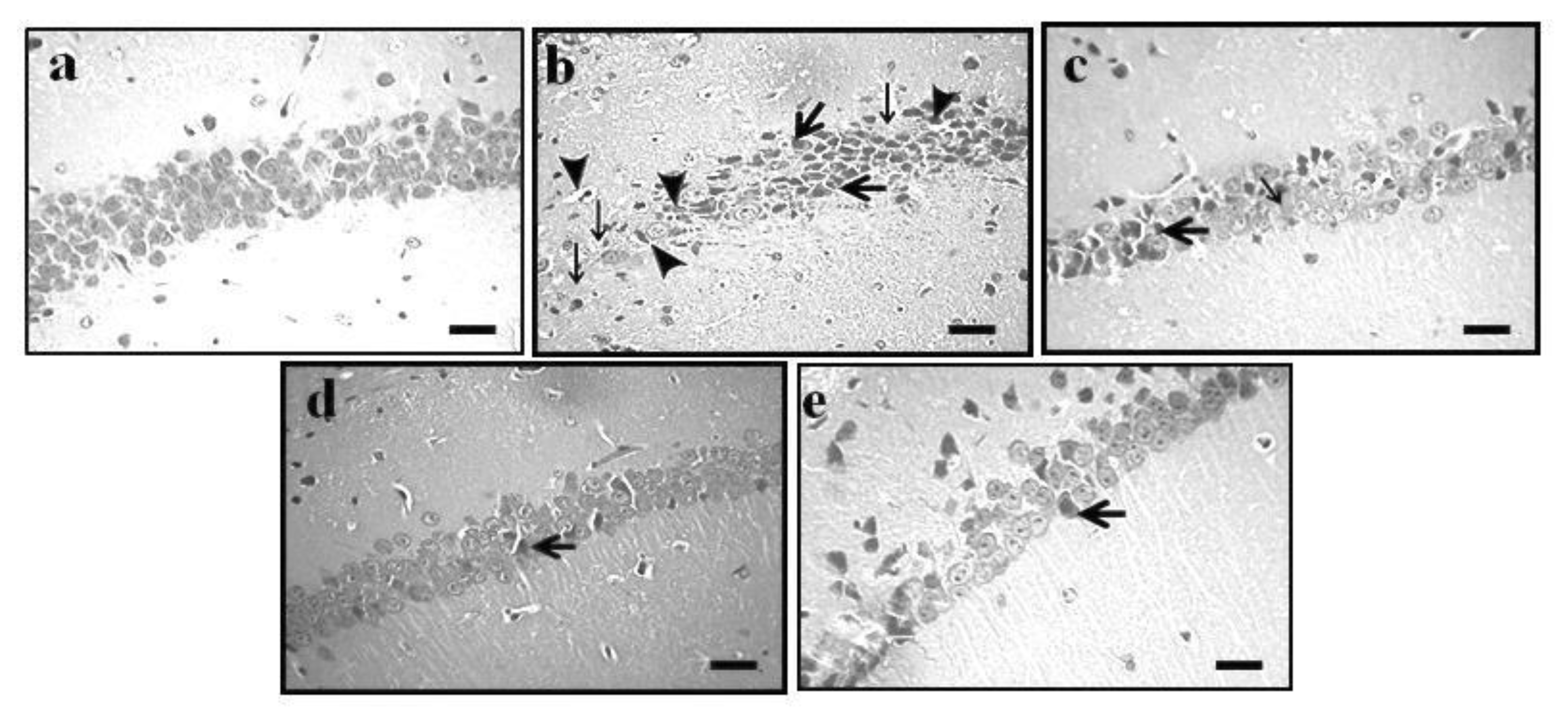 Molecules 27 05182 g003
