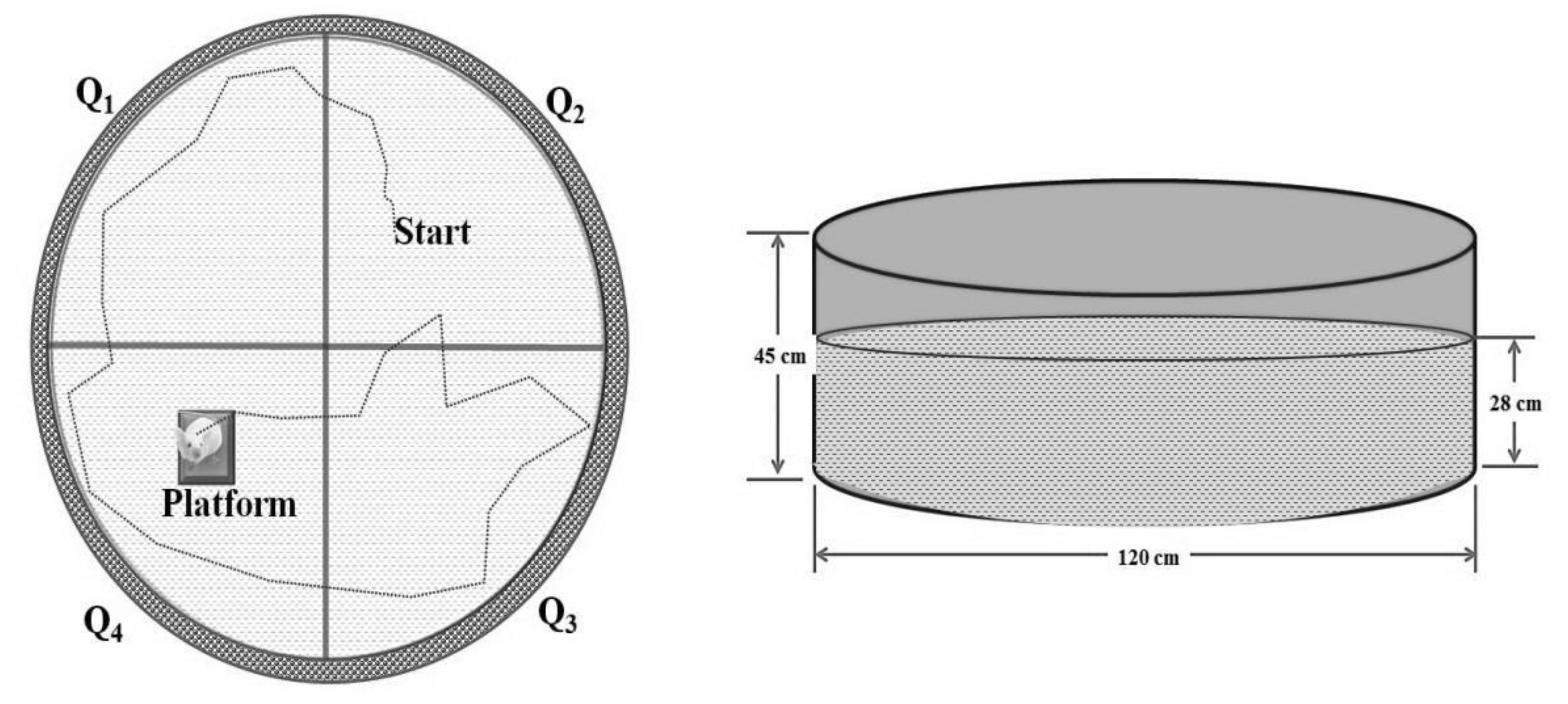 Molecules 27 05182 g006