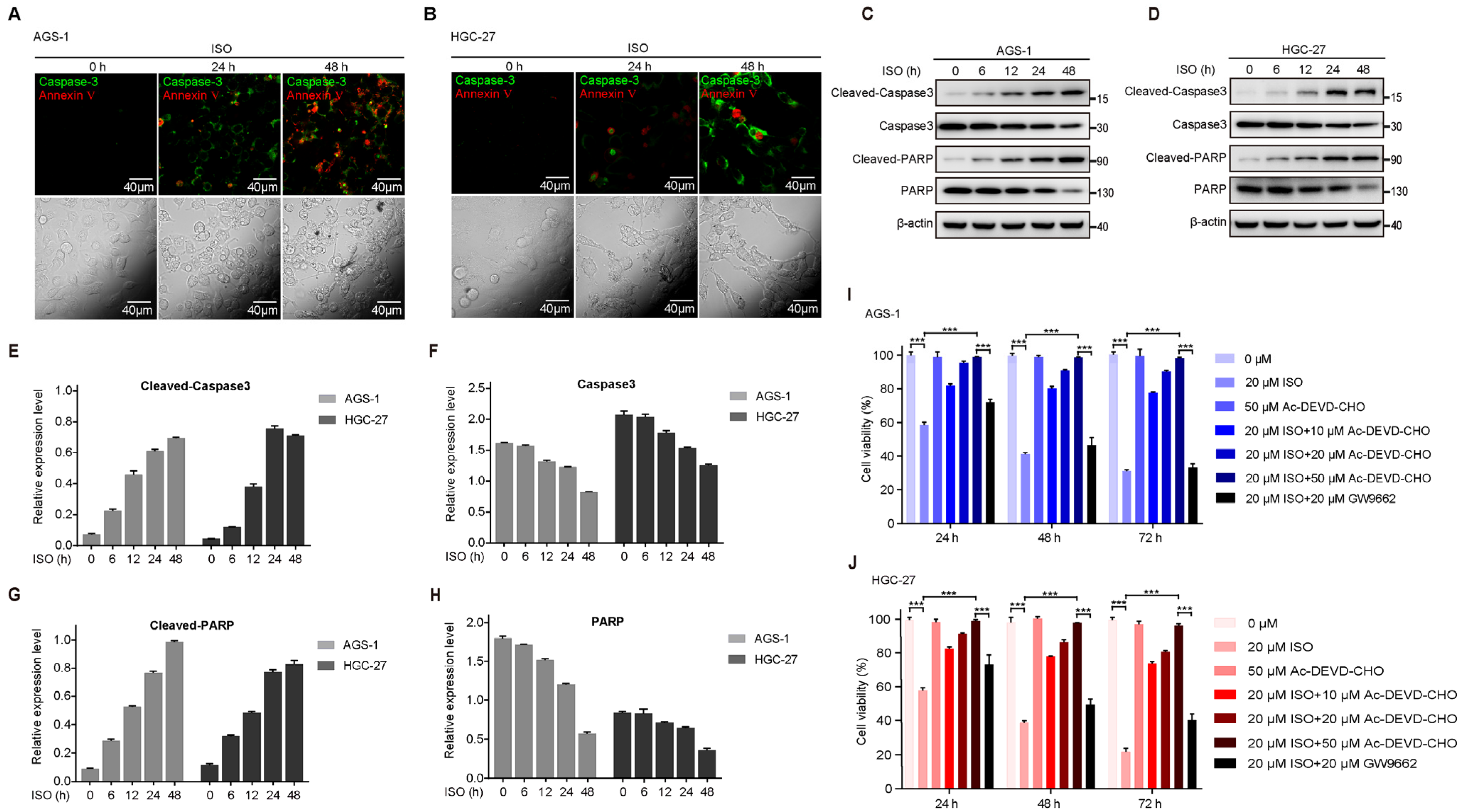 Molecules 27 05191 g002