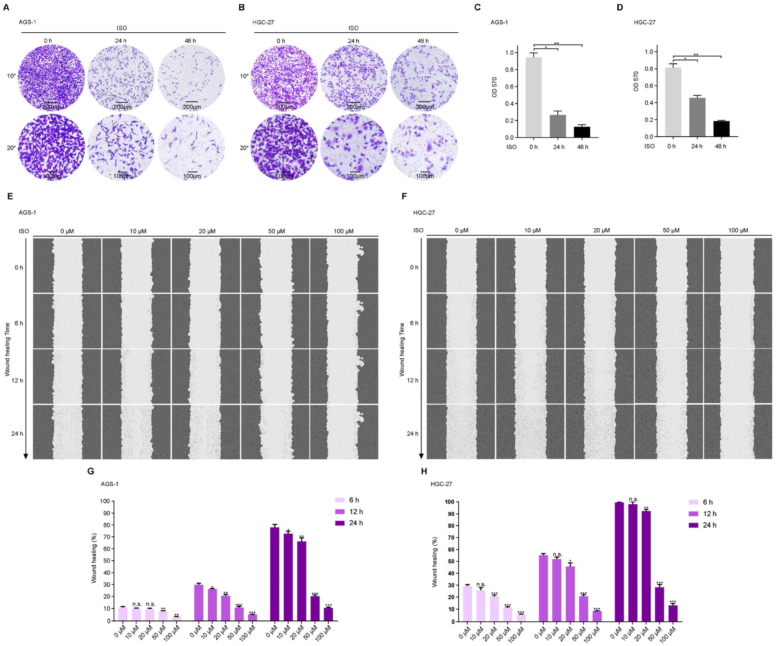 Molecules 27 05191 g006