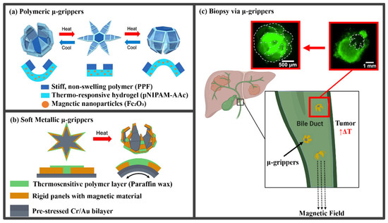 Molecules 27 05196 g001 550
