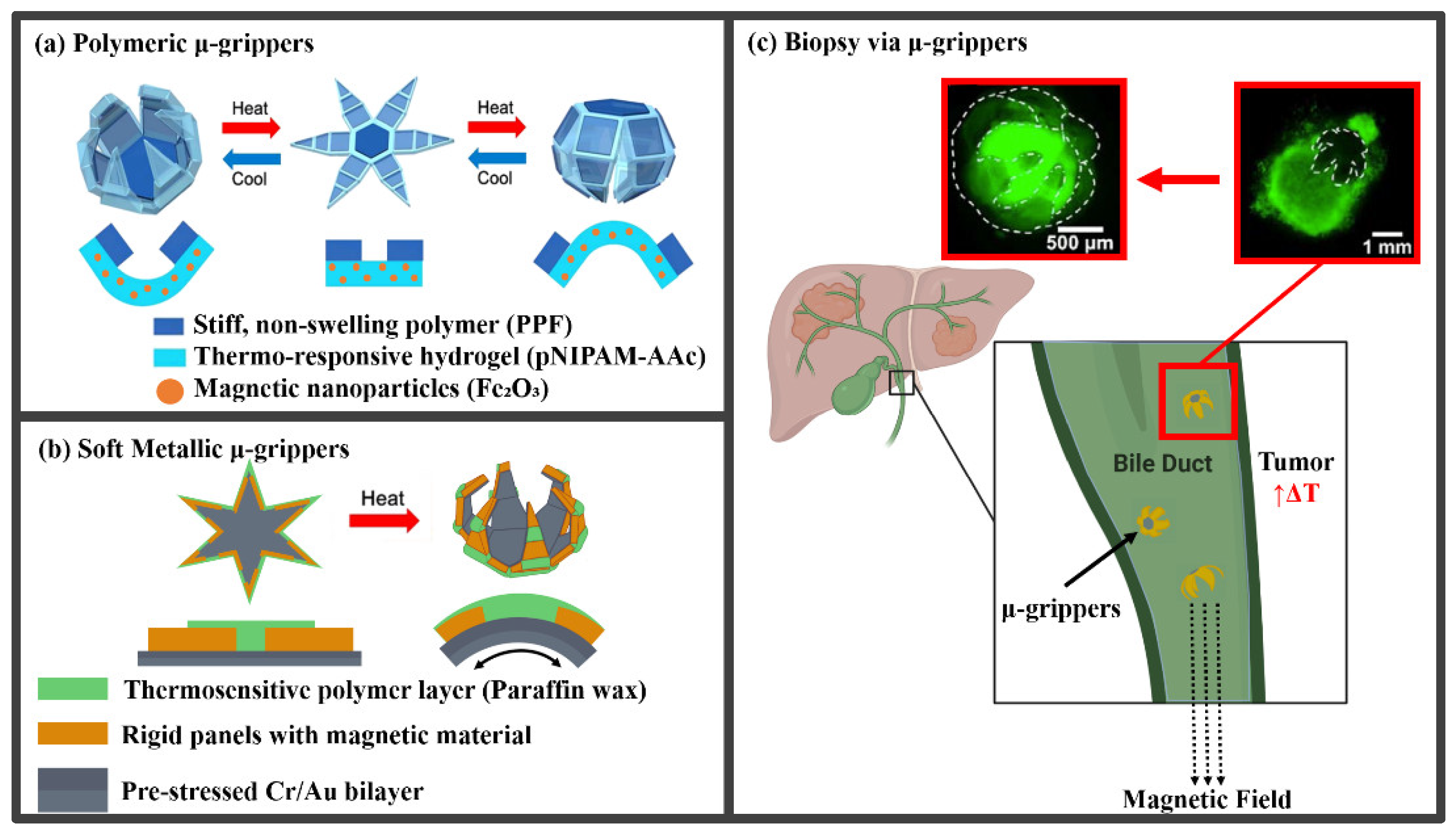 Molecules 27 05196 g001