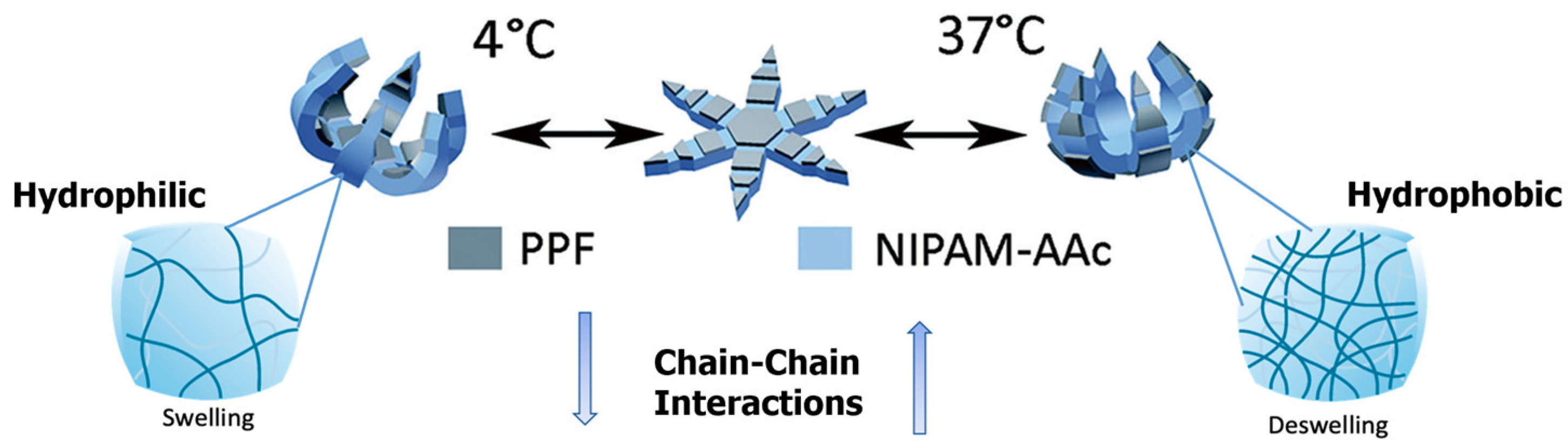 Molecules 27 05196 g003