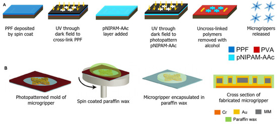 Molecules 27 05196 g009 550