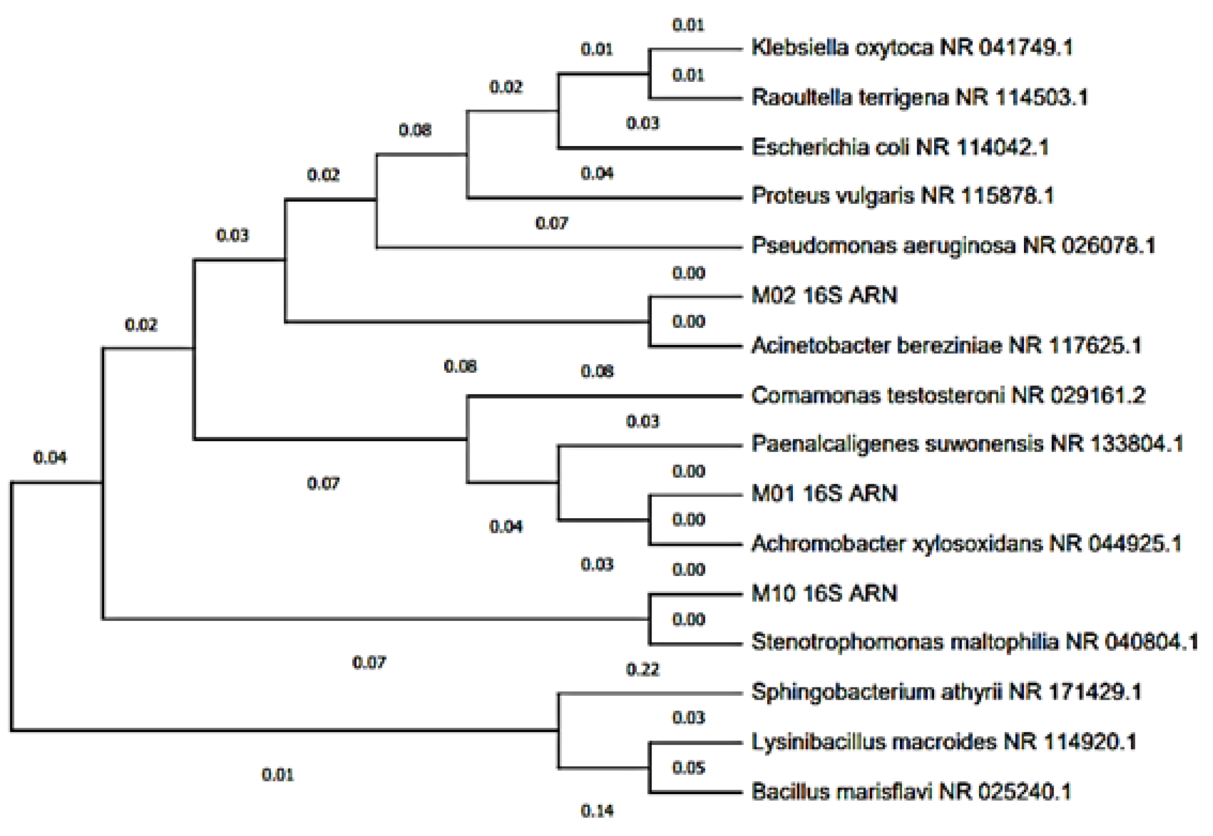 Molecules 27 05198 g005
