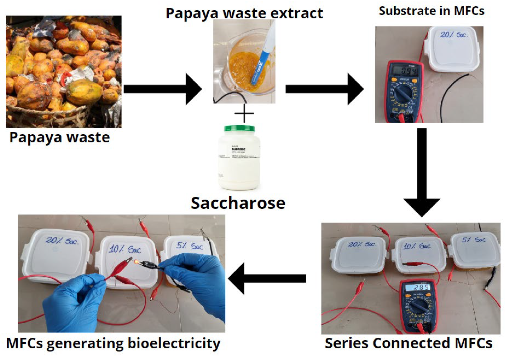 Molecules 27 05198 g006