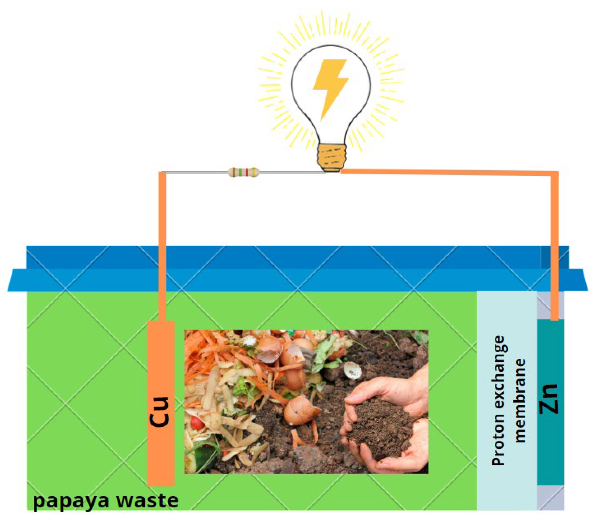 Molecules 27 05198 g007