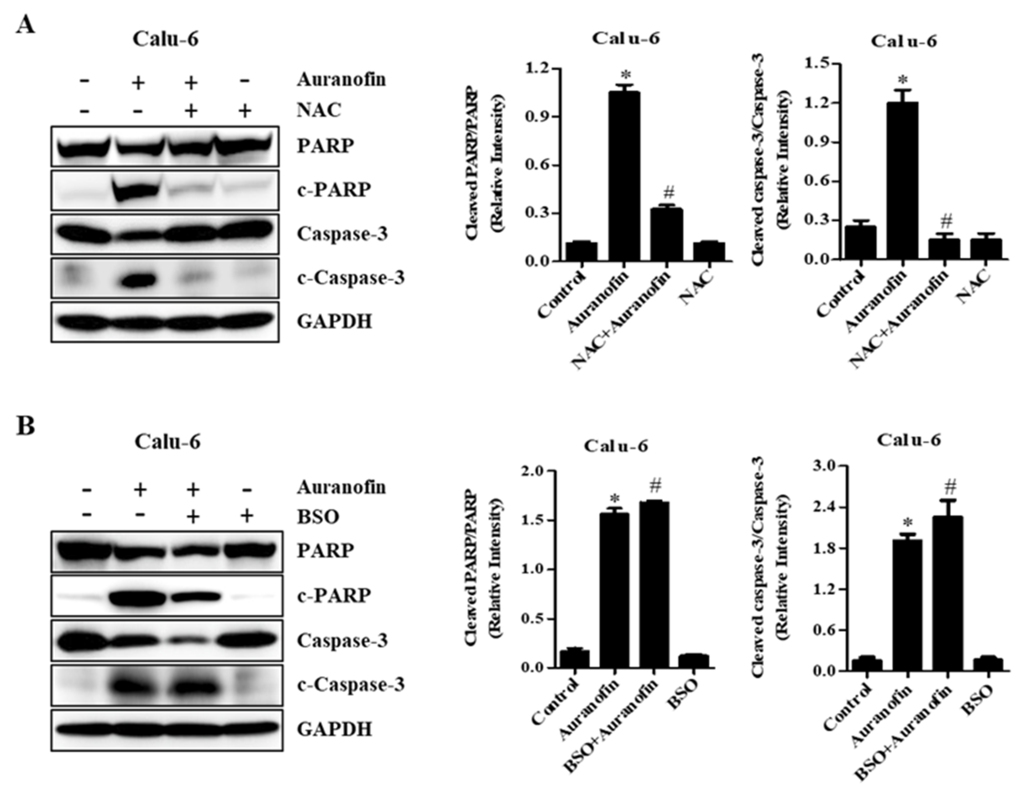 Molecules 27 05207 g006
