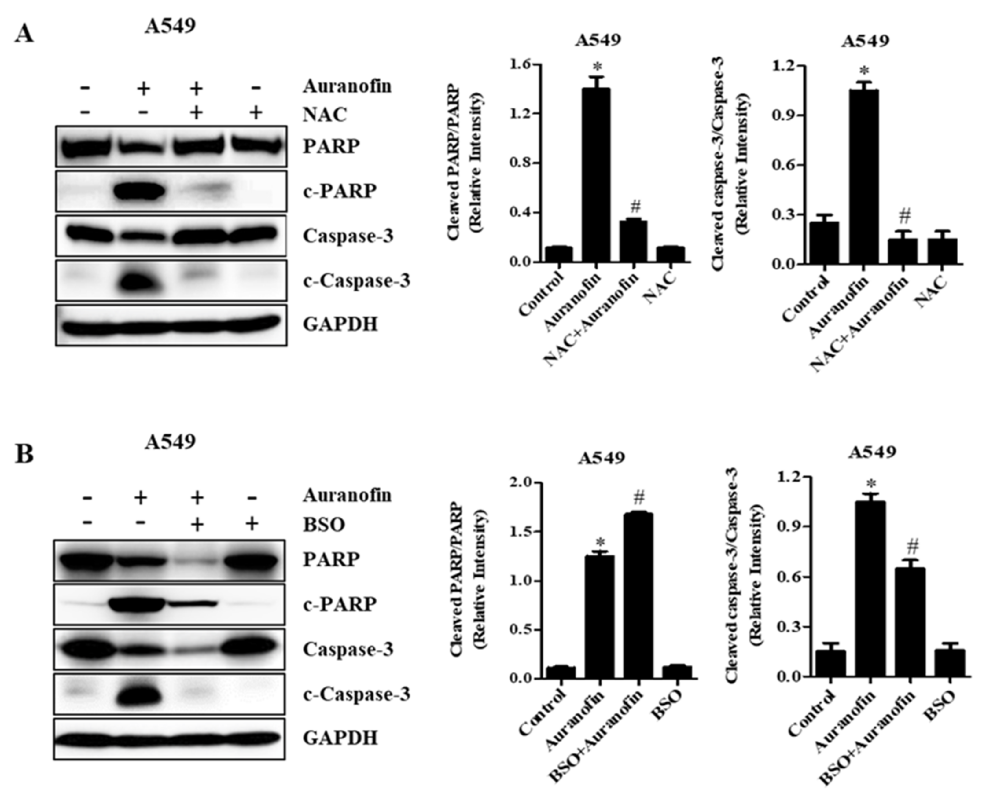 Molecules 27 05207 g007