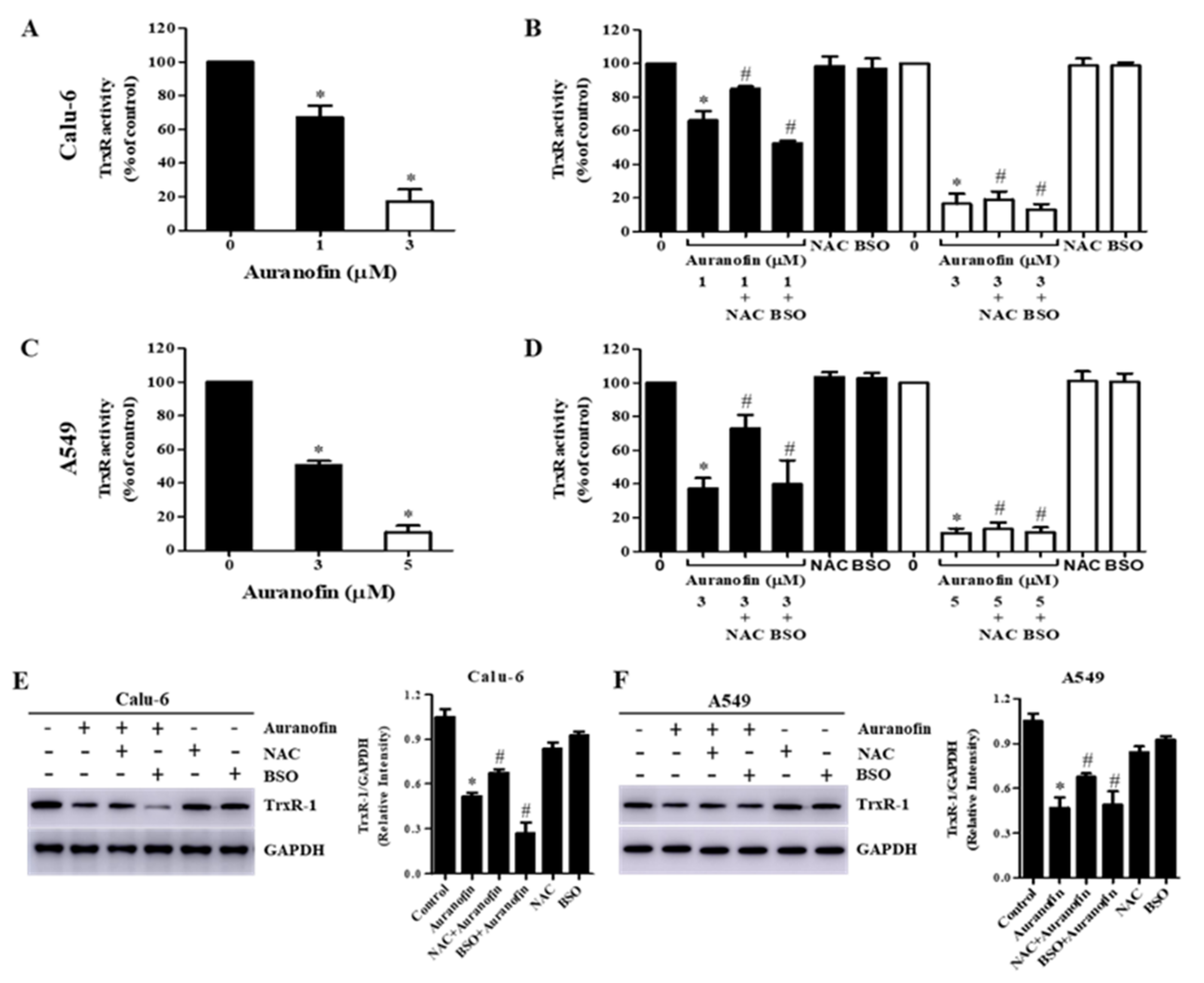 Molecules 27 05207 g008