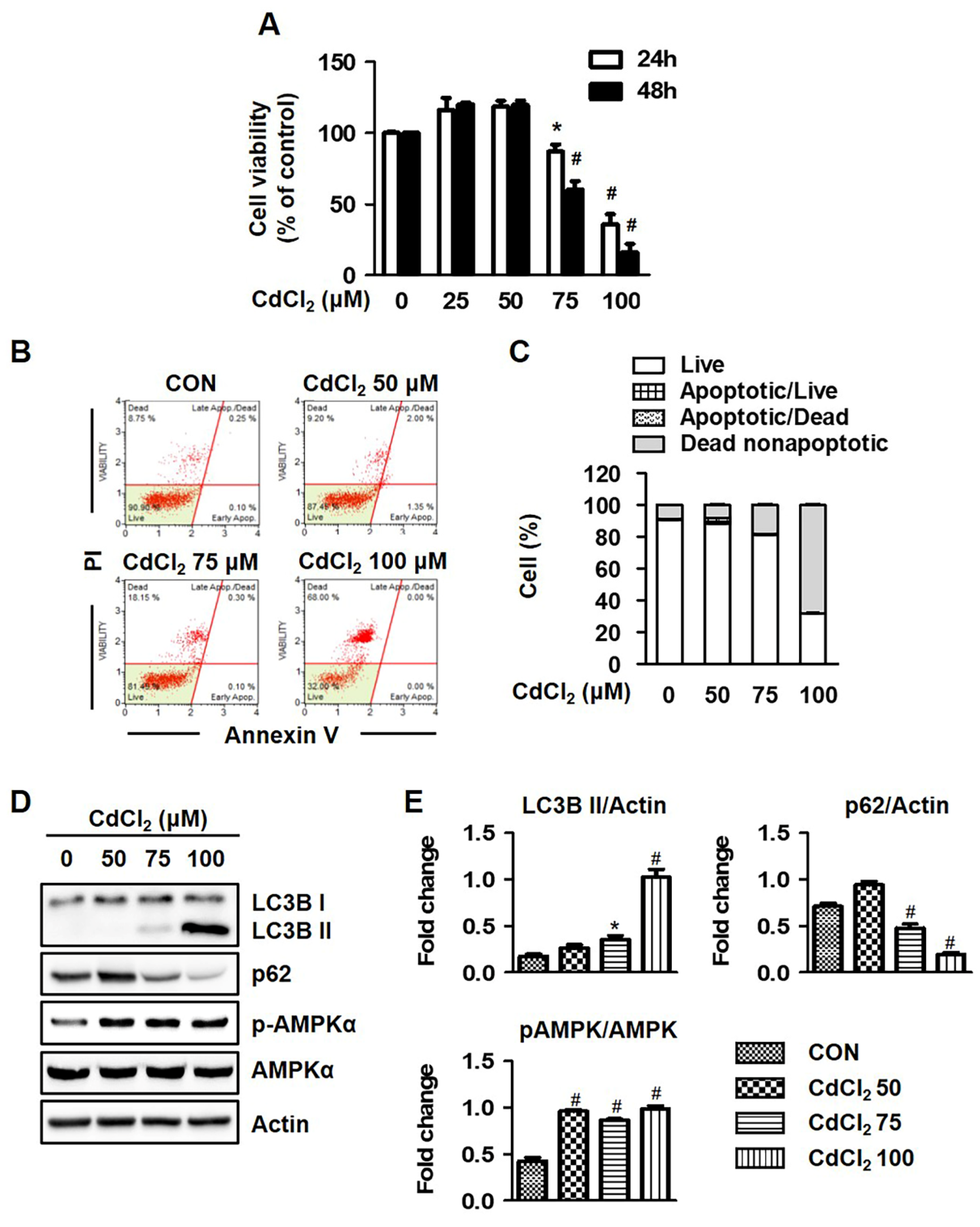 Molecules 27 05215 g001