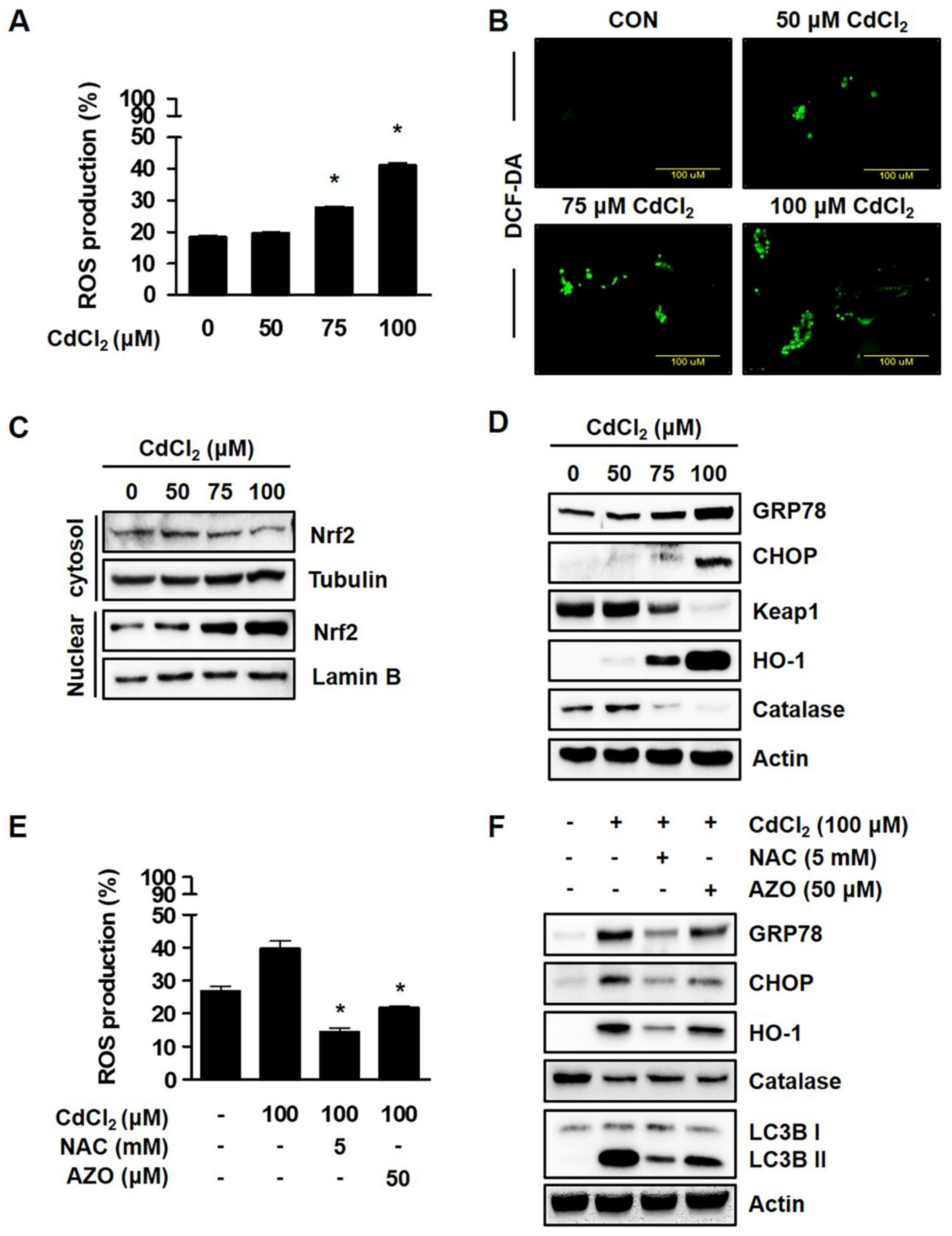 Molecules 27 05215 g002