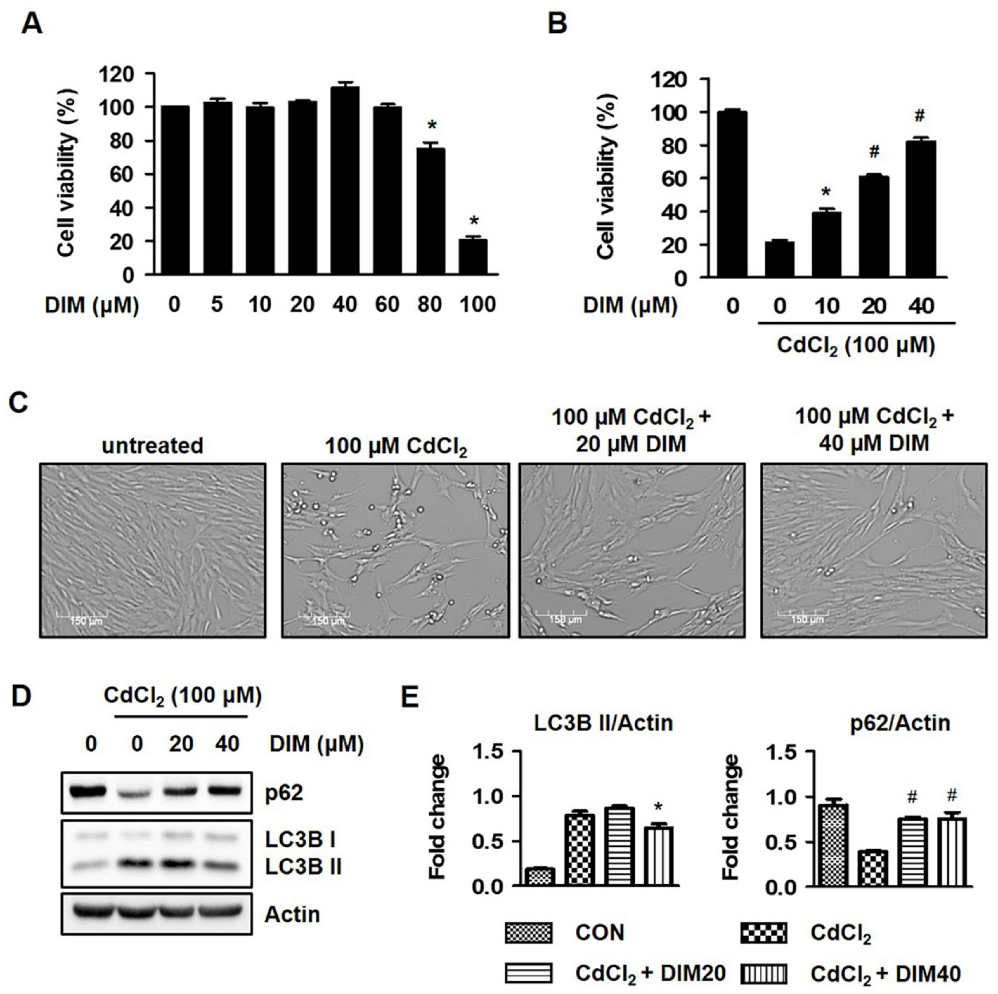 Molecules 27 05215 g003