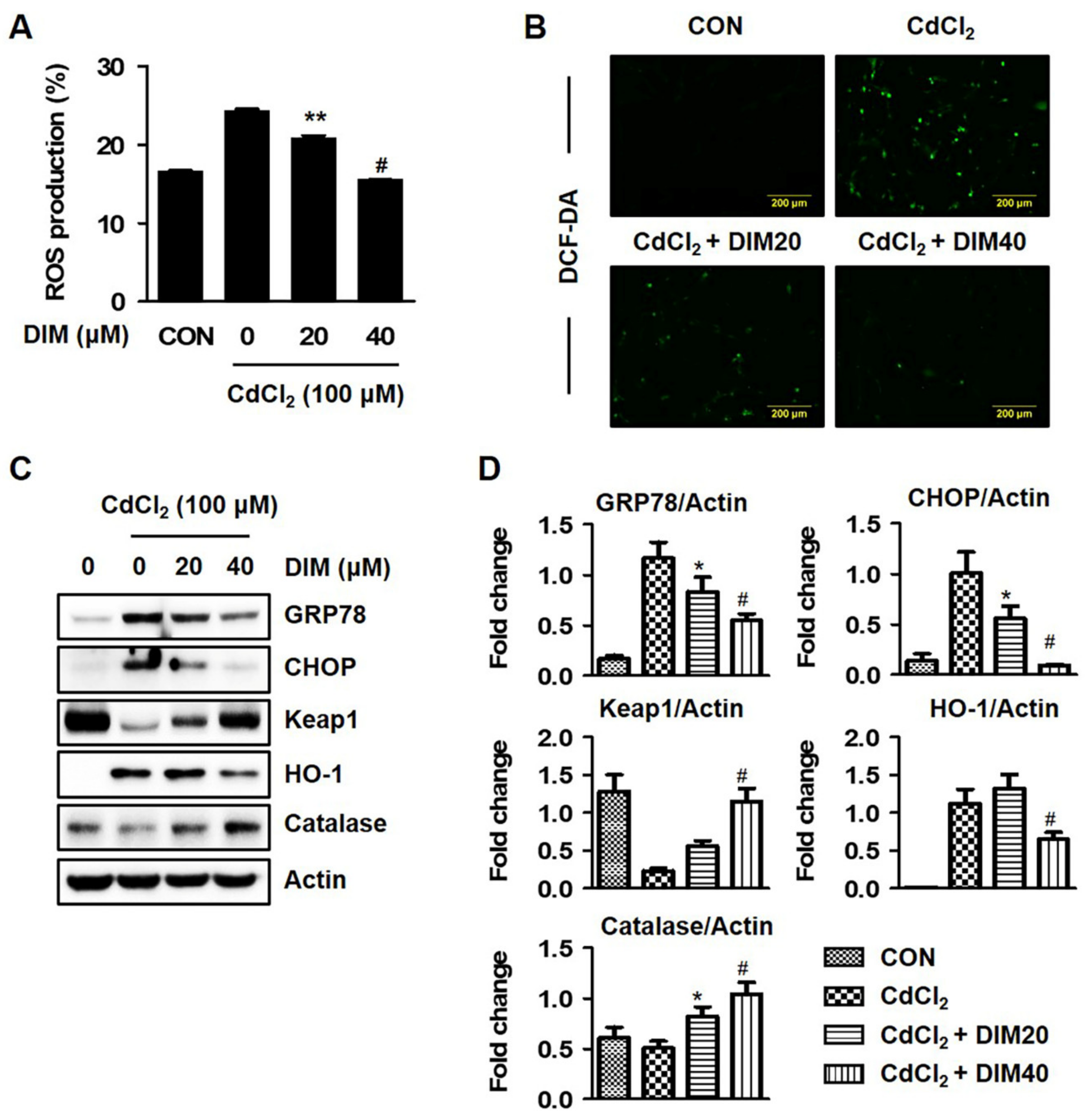 Molecules 27 05215 g004