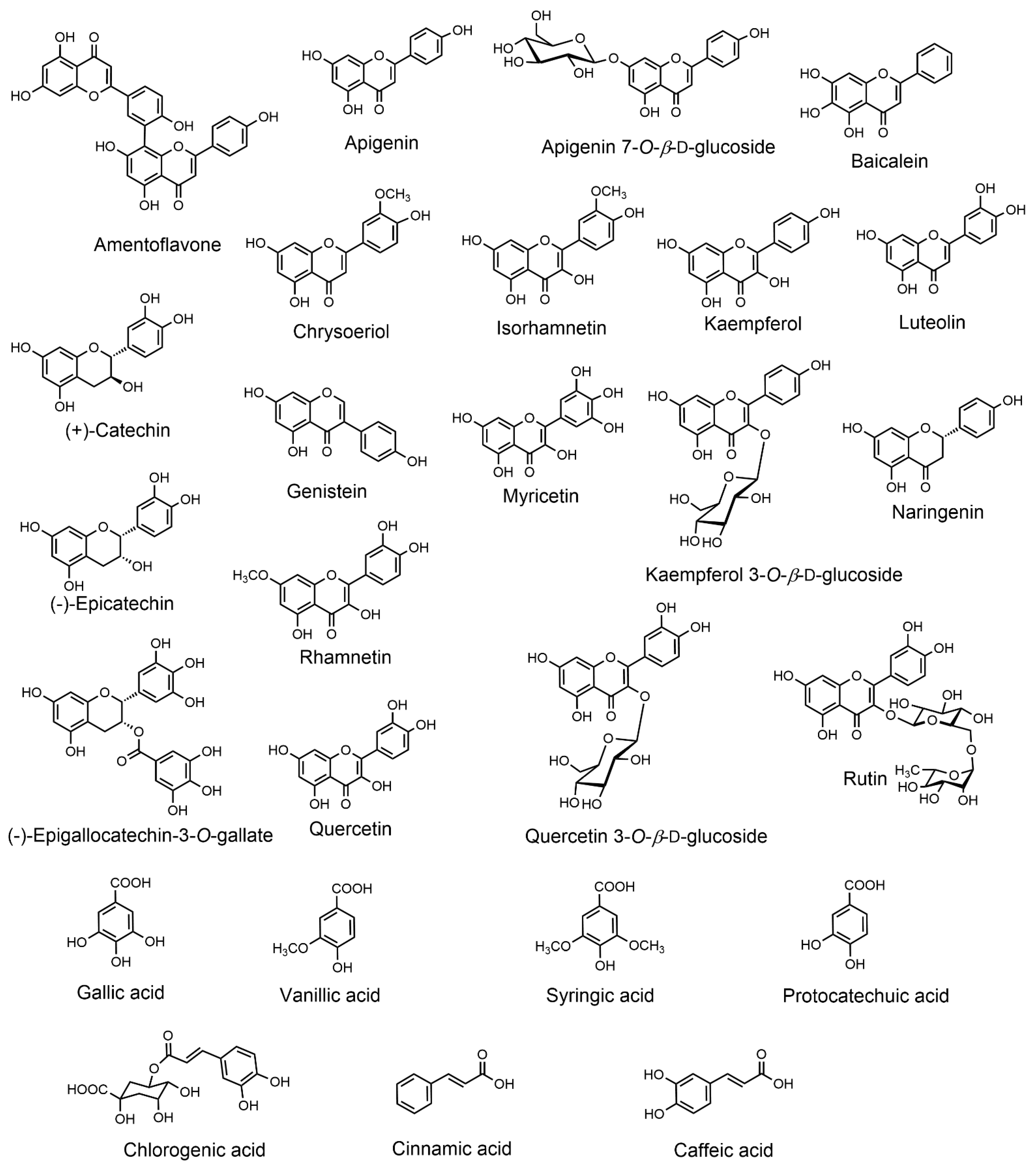 Molecules 27 05219 g002