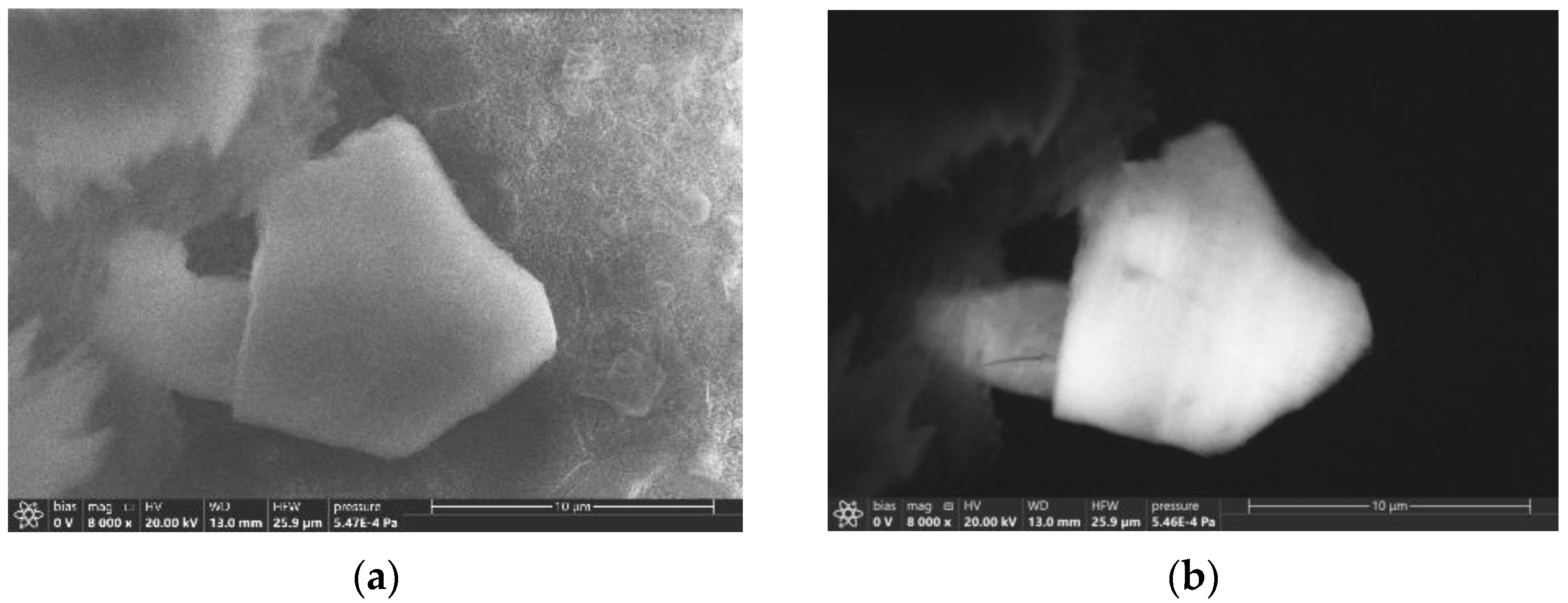 Molecules 27 05226 g011 Molecules 27 05226 g011