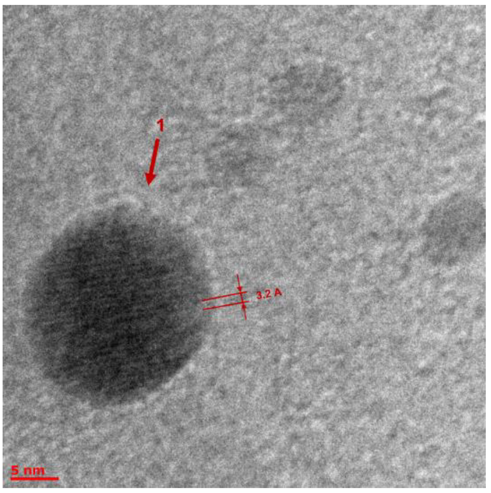 Molecules 27 05226 g012 Molecules 27 05226 g012