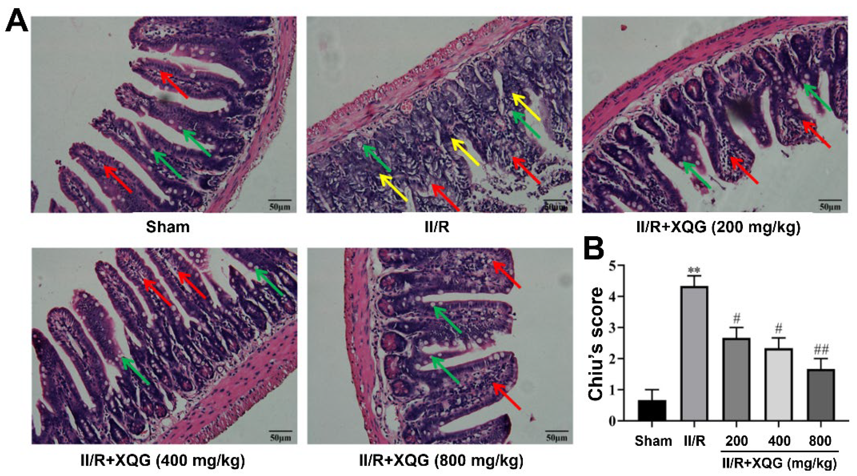 Molecules 27 05227 g002