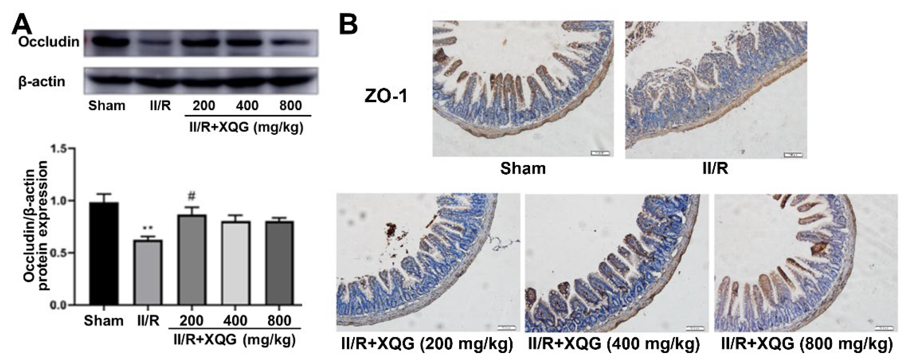 Molecules 27 05227 g003