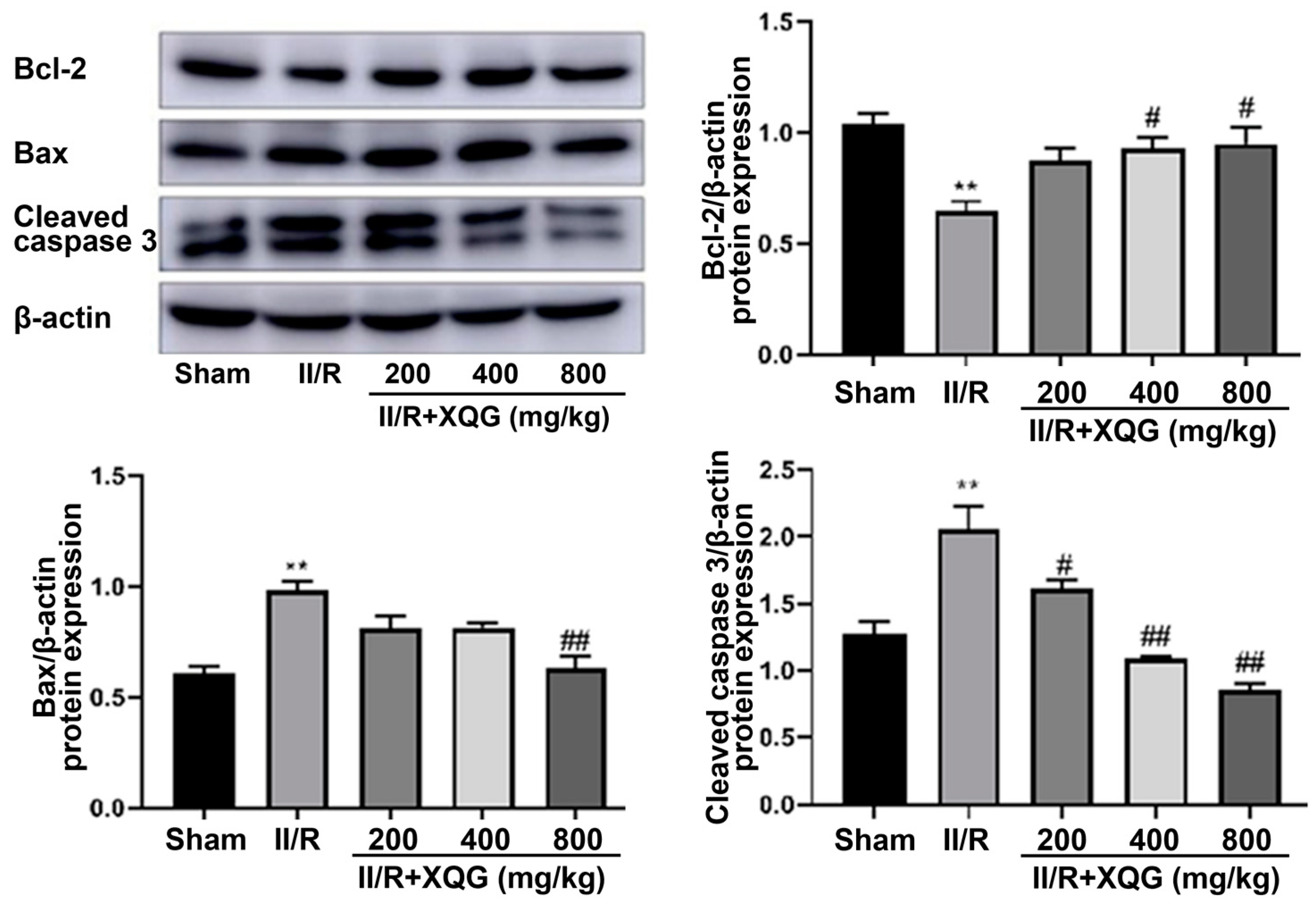 Molecules 27 05227 g005