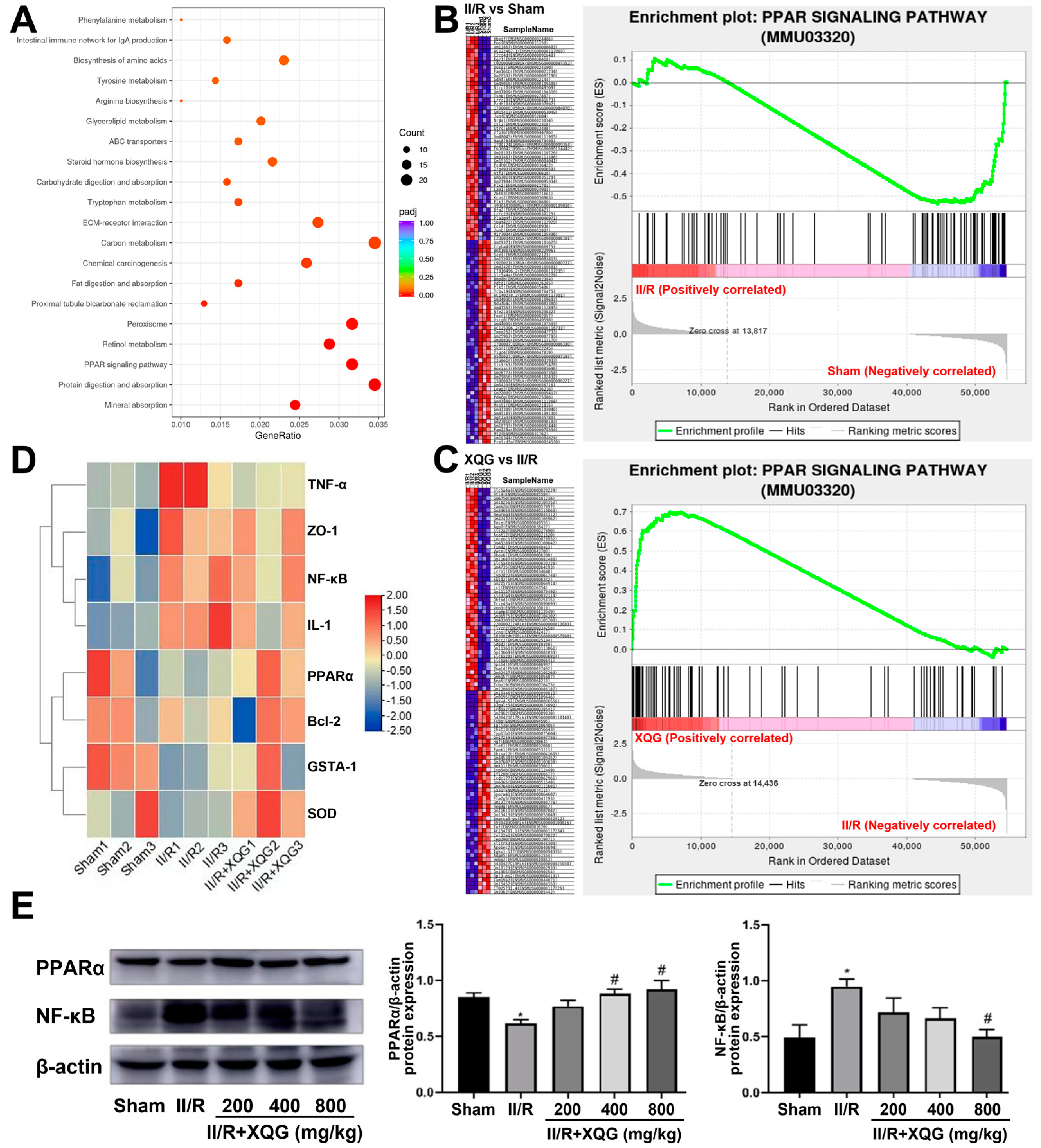 Molecules 27 05227 g007