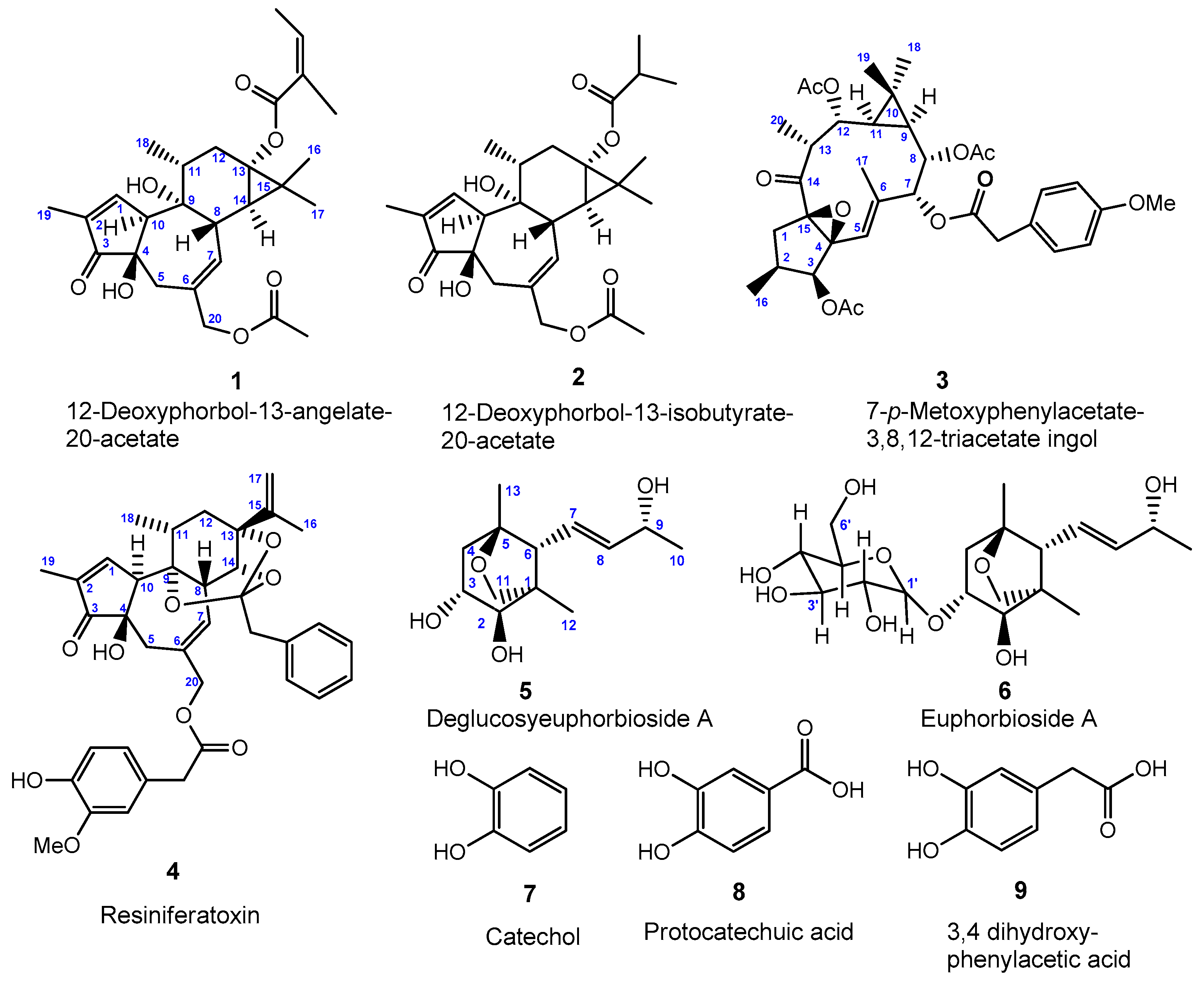 Molecules 27 05234 g001