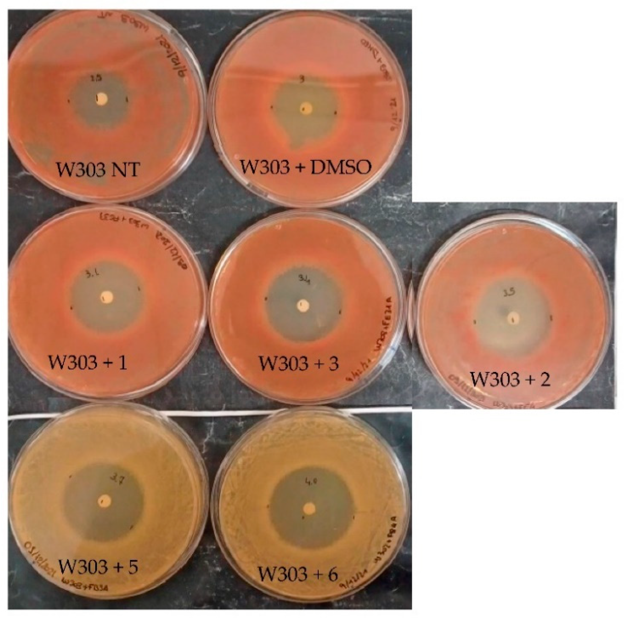 Molecules 27 05234 g003