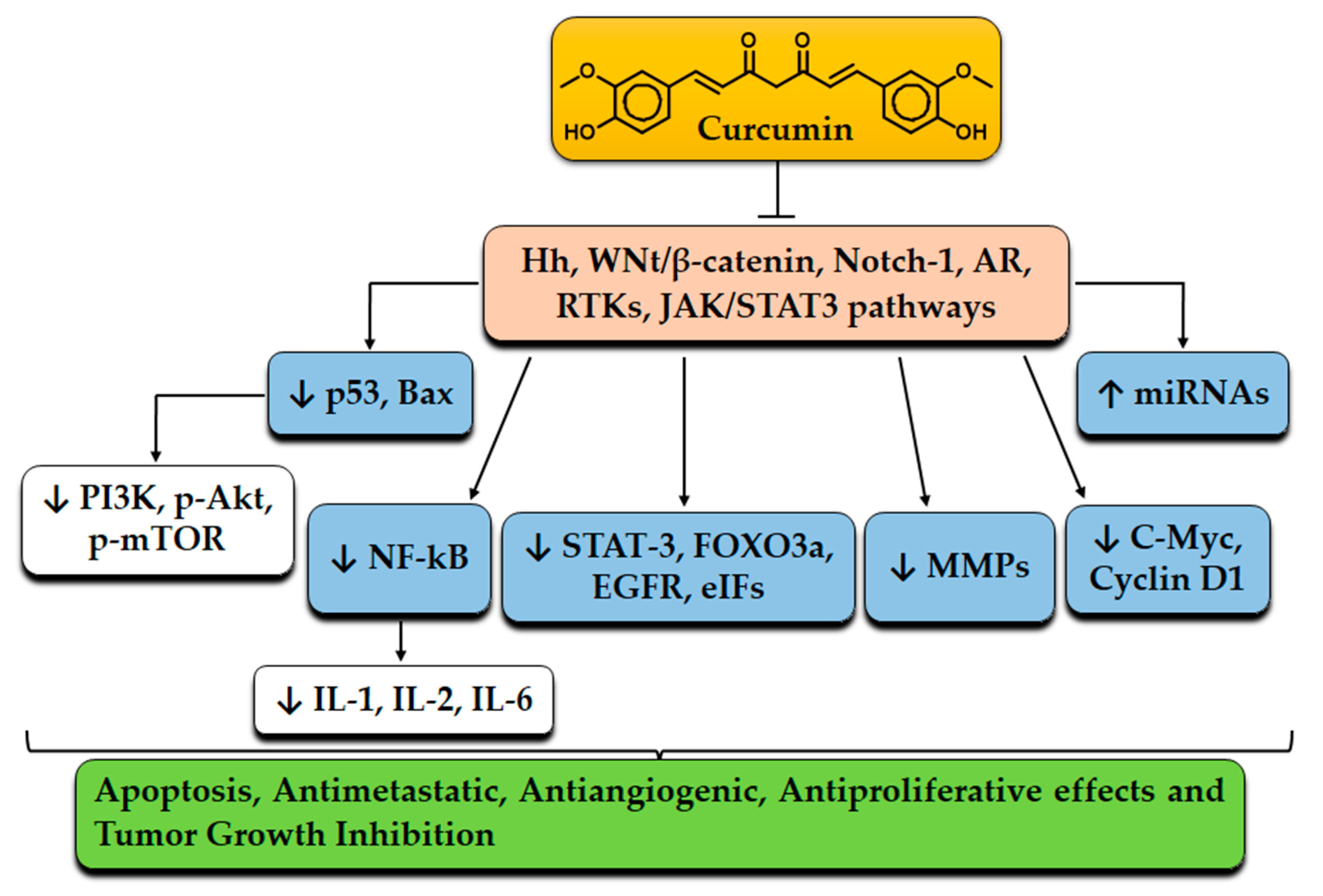 Molecules 27 05236 g002