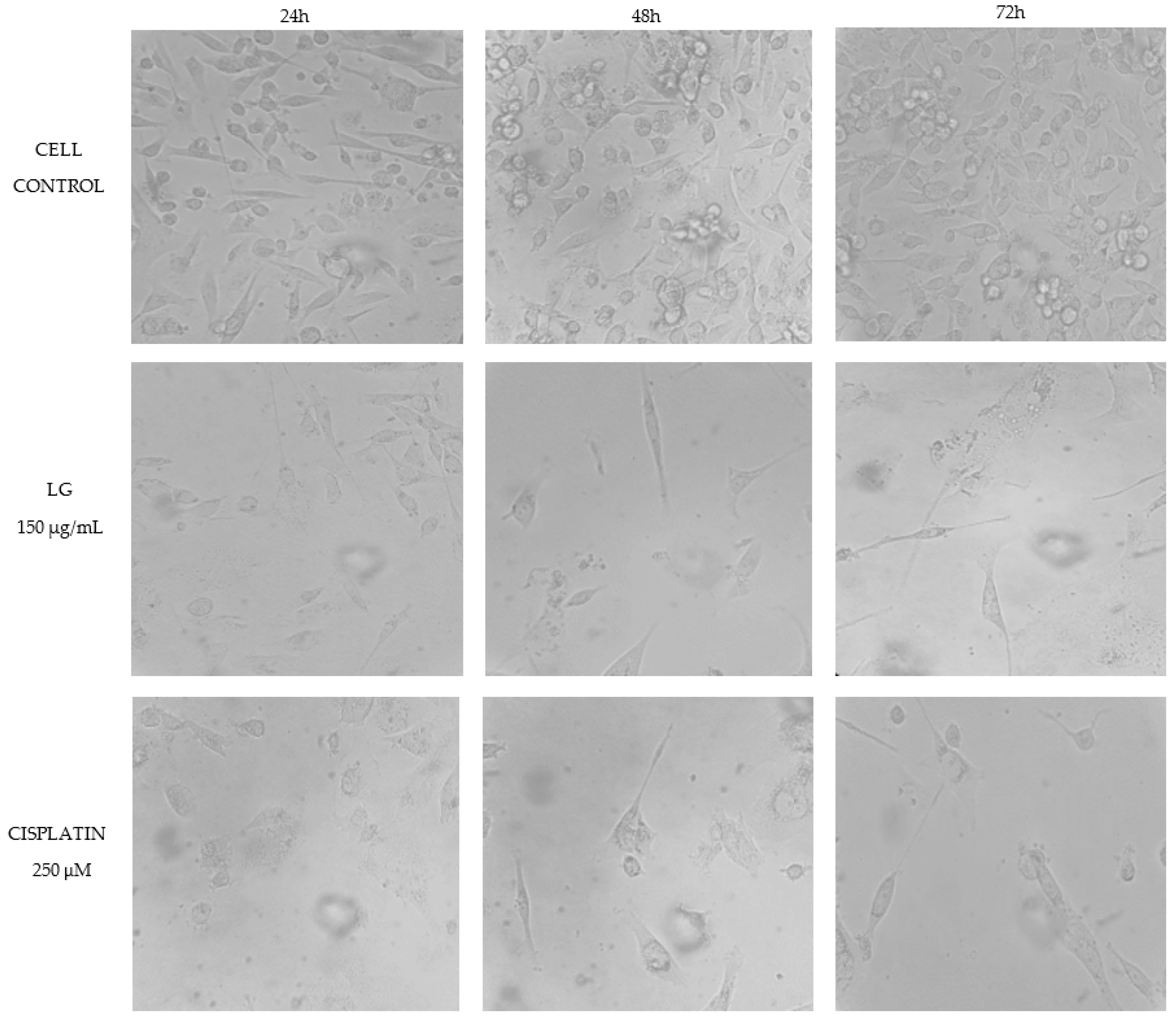 Molecules 27 05240 g004