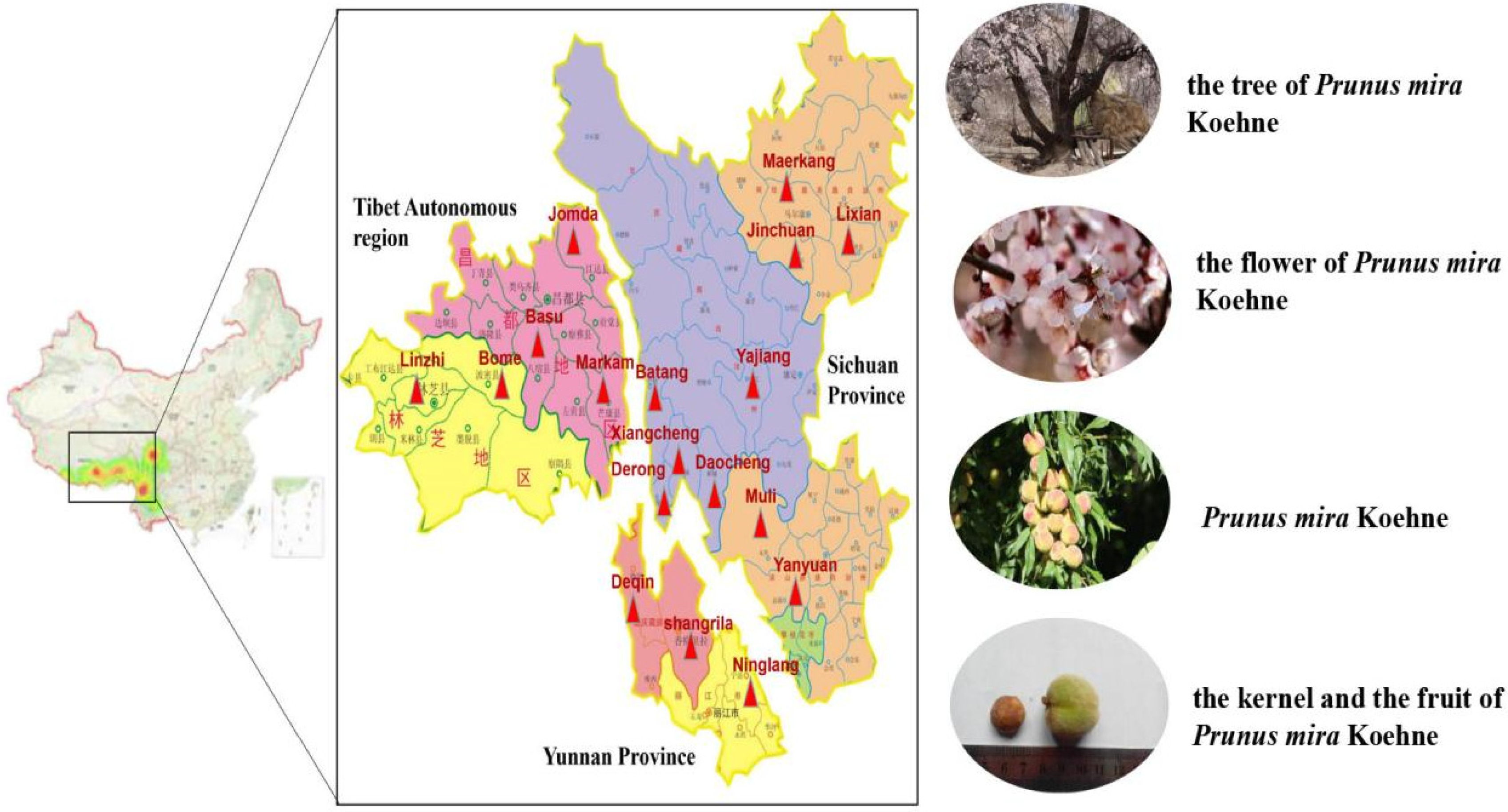 Molecules 27 05242 g001
