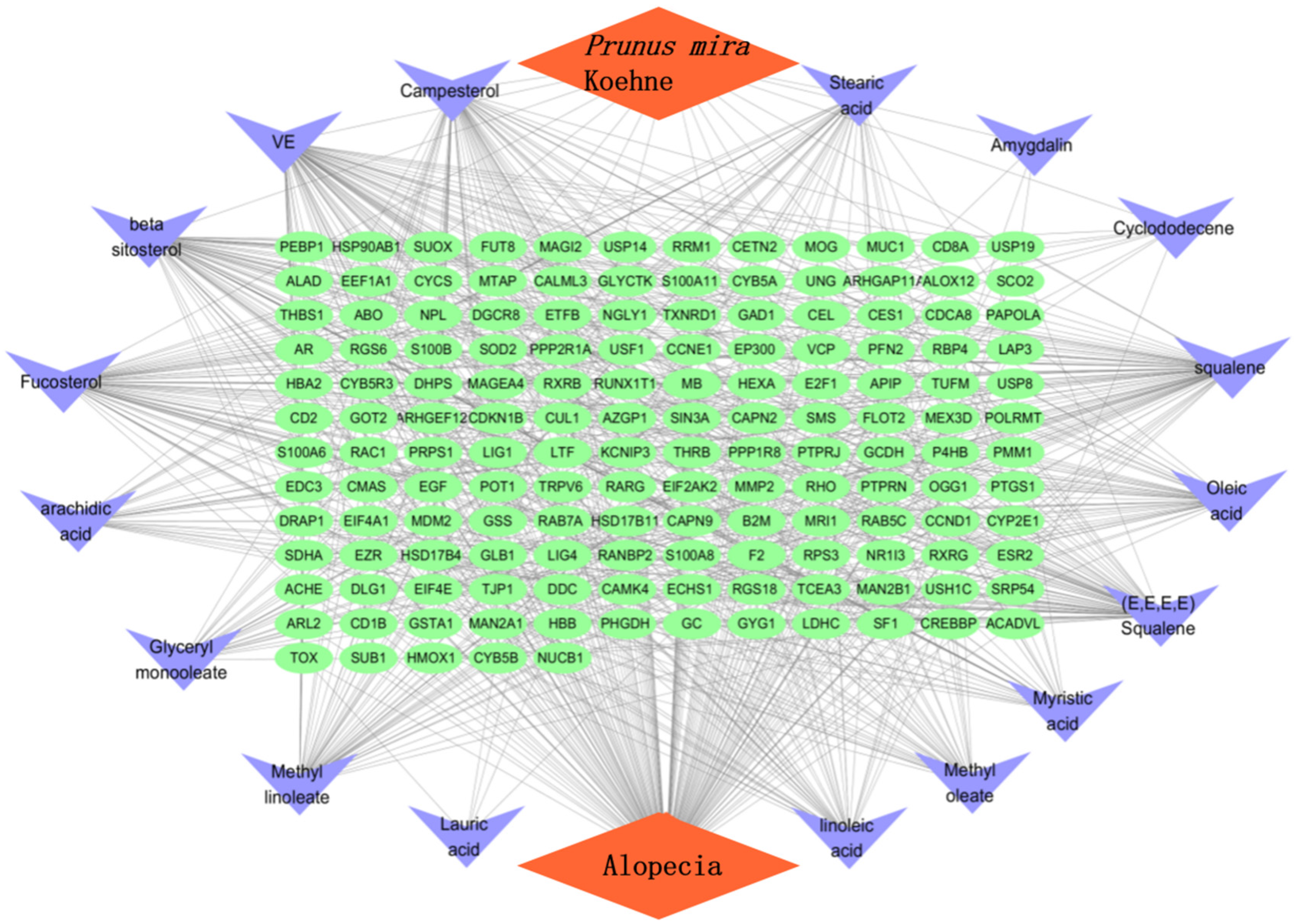Molecules 27 05242 g004