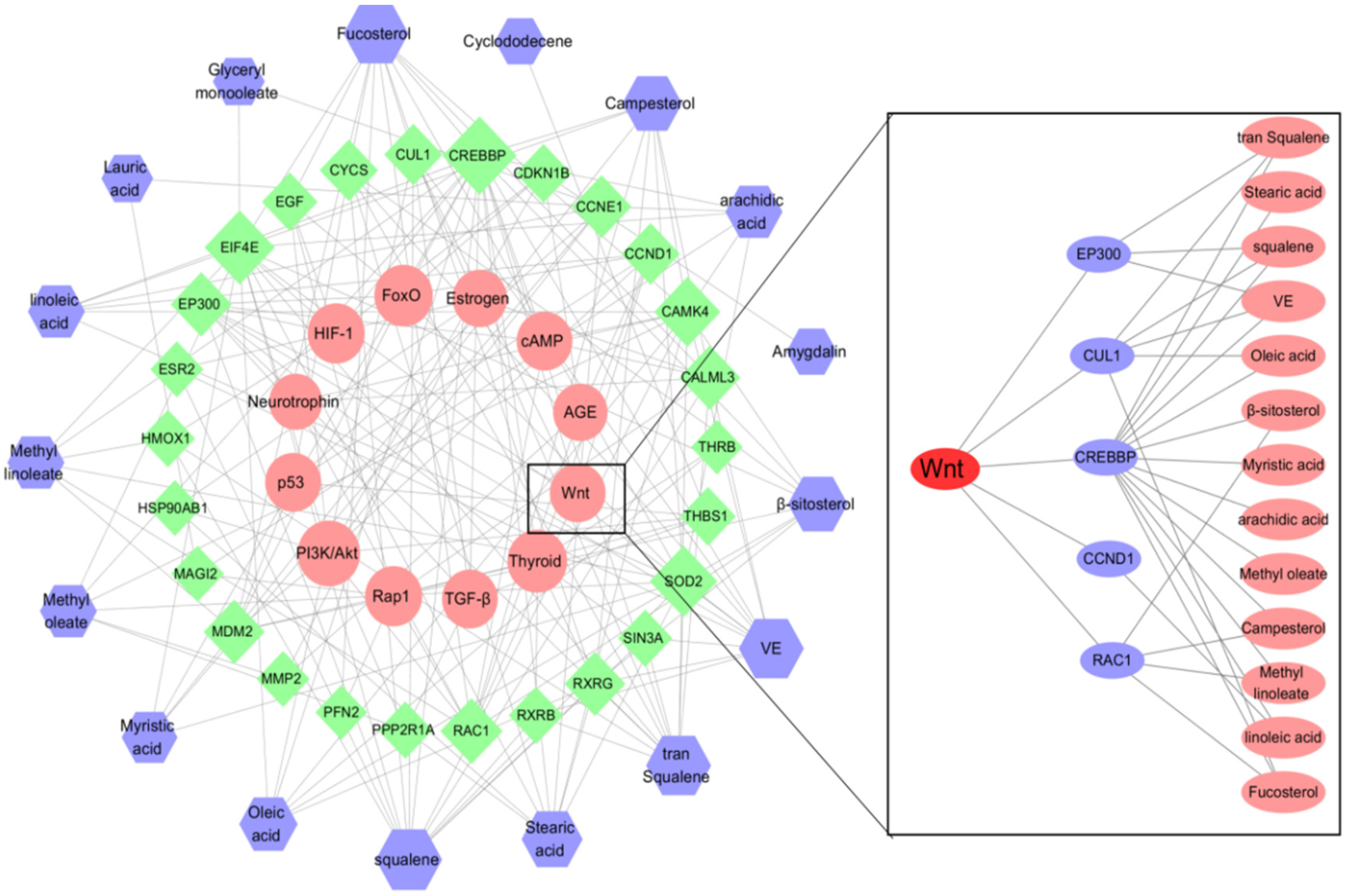 Molecules 27 05242 g008