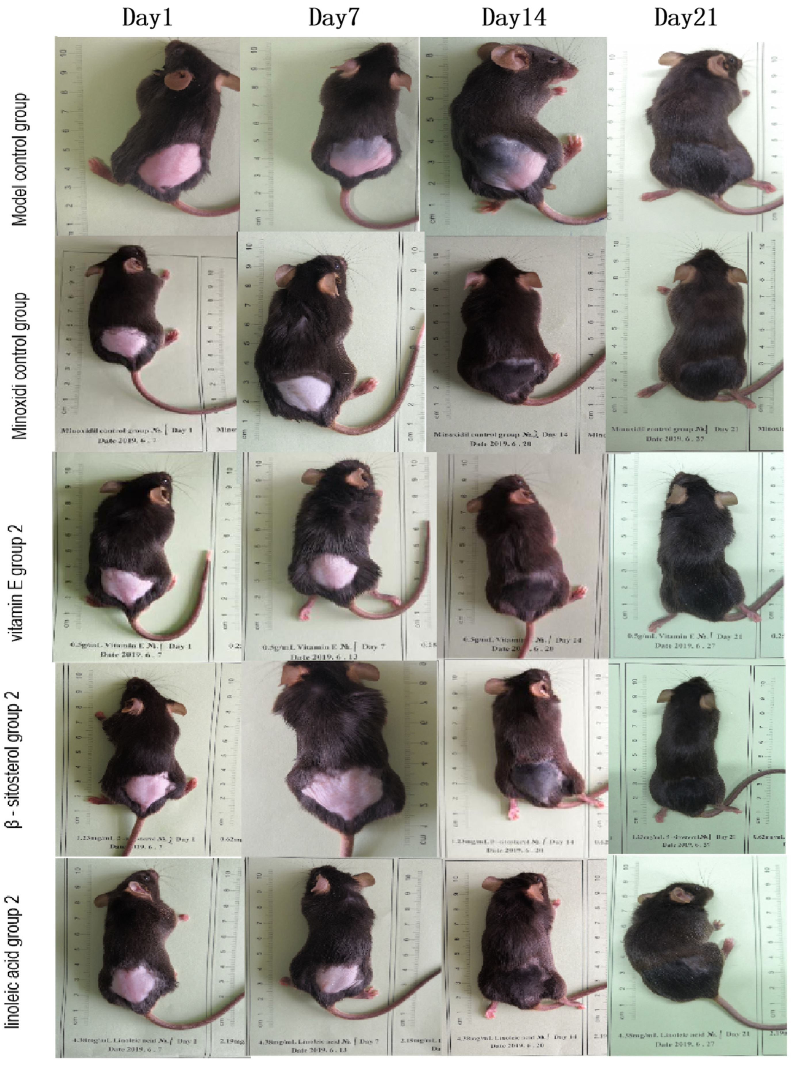 Molecules 27 05242 g013