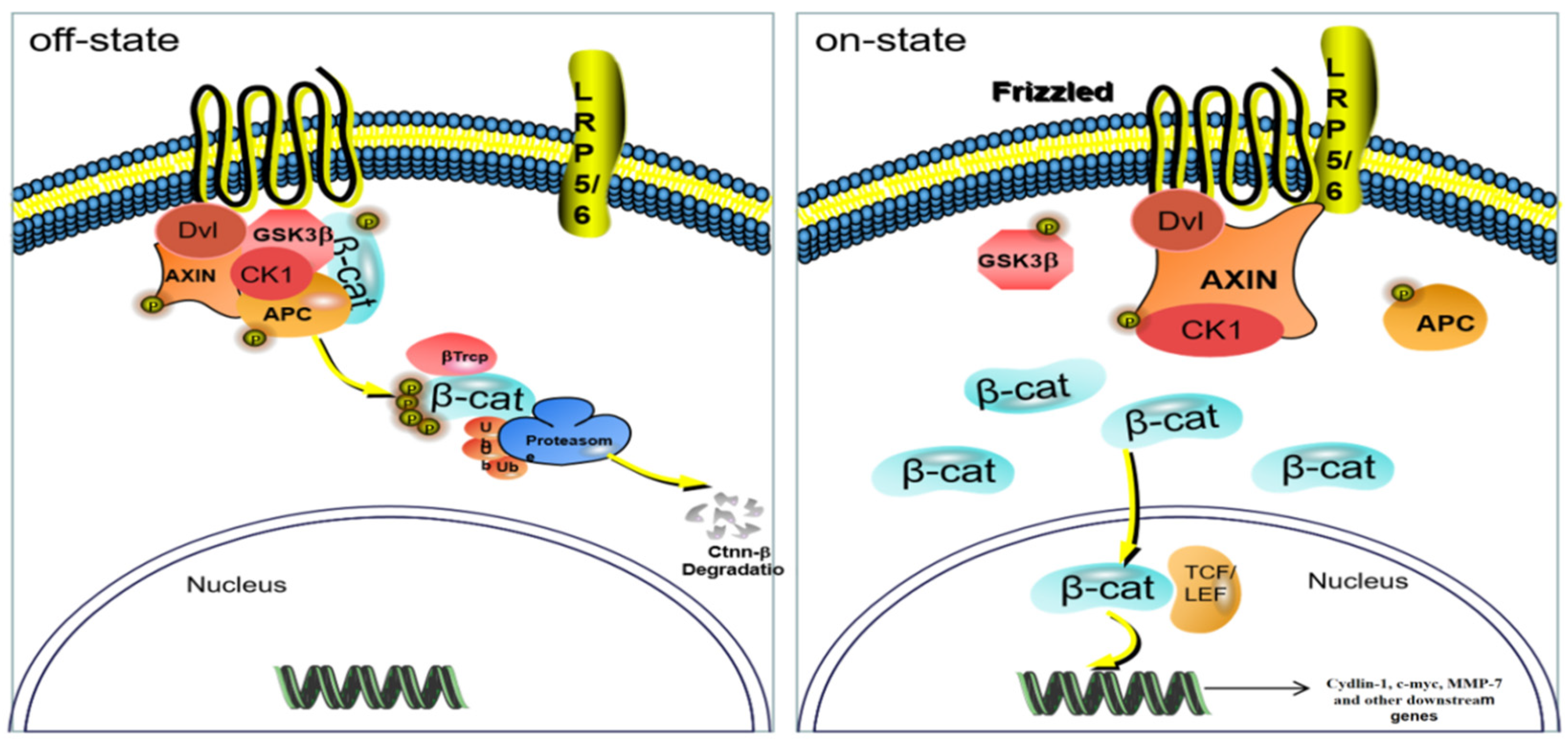 Molecules 27 05242 g017